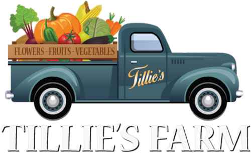 tillies-farm.png