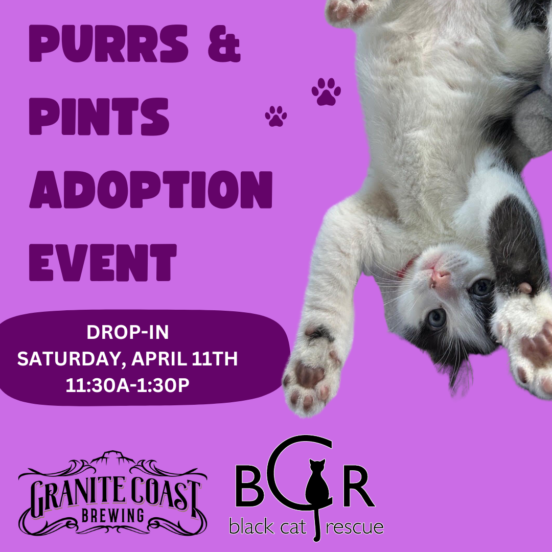 Pints and Purrs: Black Cat Rescue Adoption Event