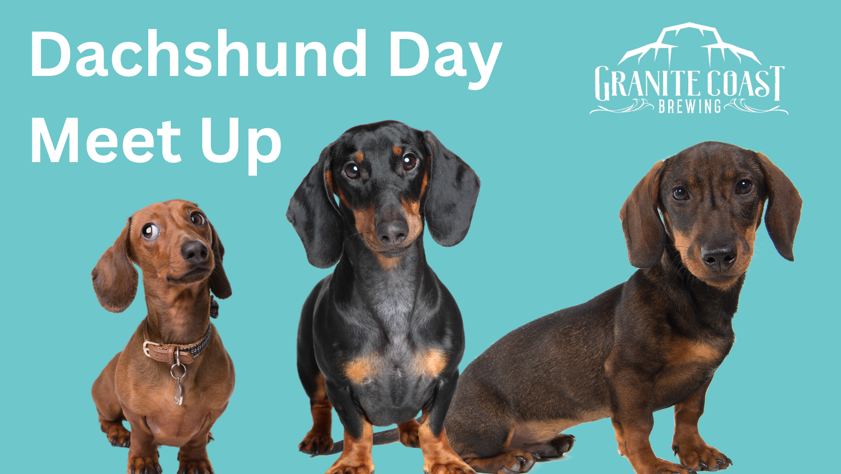 Dachshund Appreciation Day Meet Up