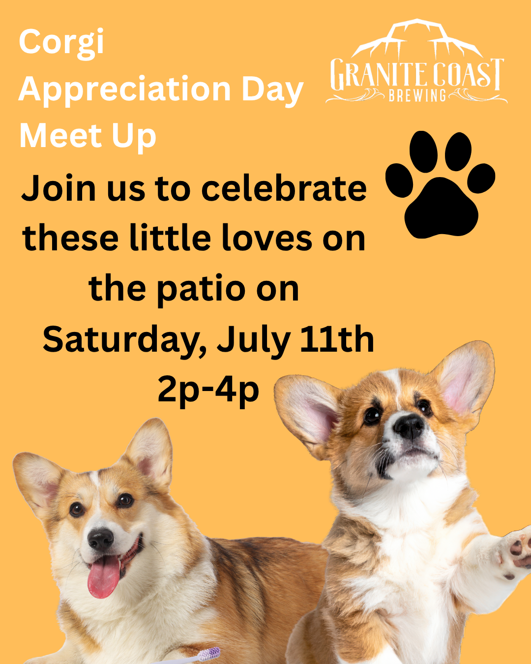 Corgi Appreciation Day at the Brewery