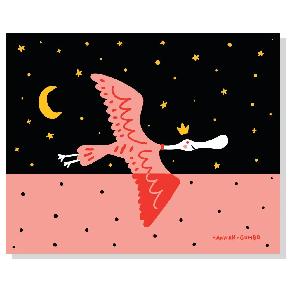 2022_spoonbill_night.jpg