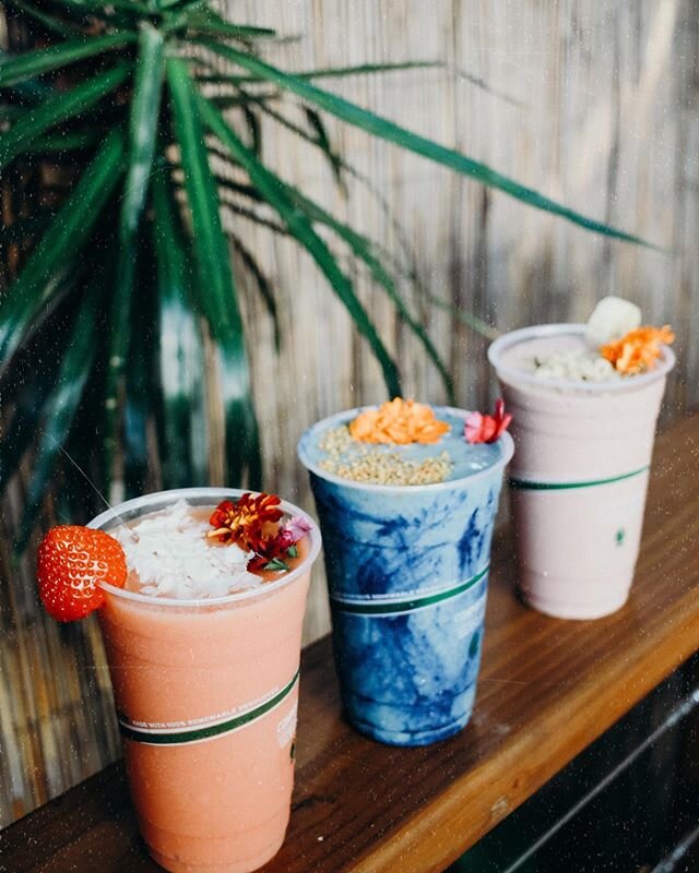Happy S U N D A Y ☀️ come get a smoothie !! -
-
-
#paiabowls #maui #hawaii #smoothie #travel #eat #fun #coffee #acai #photography
