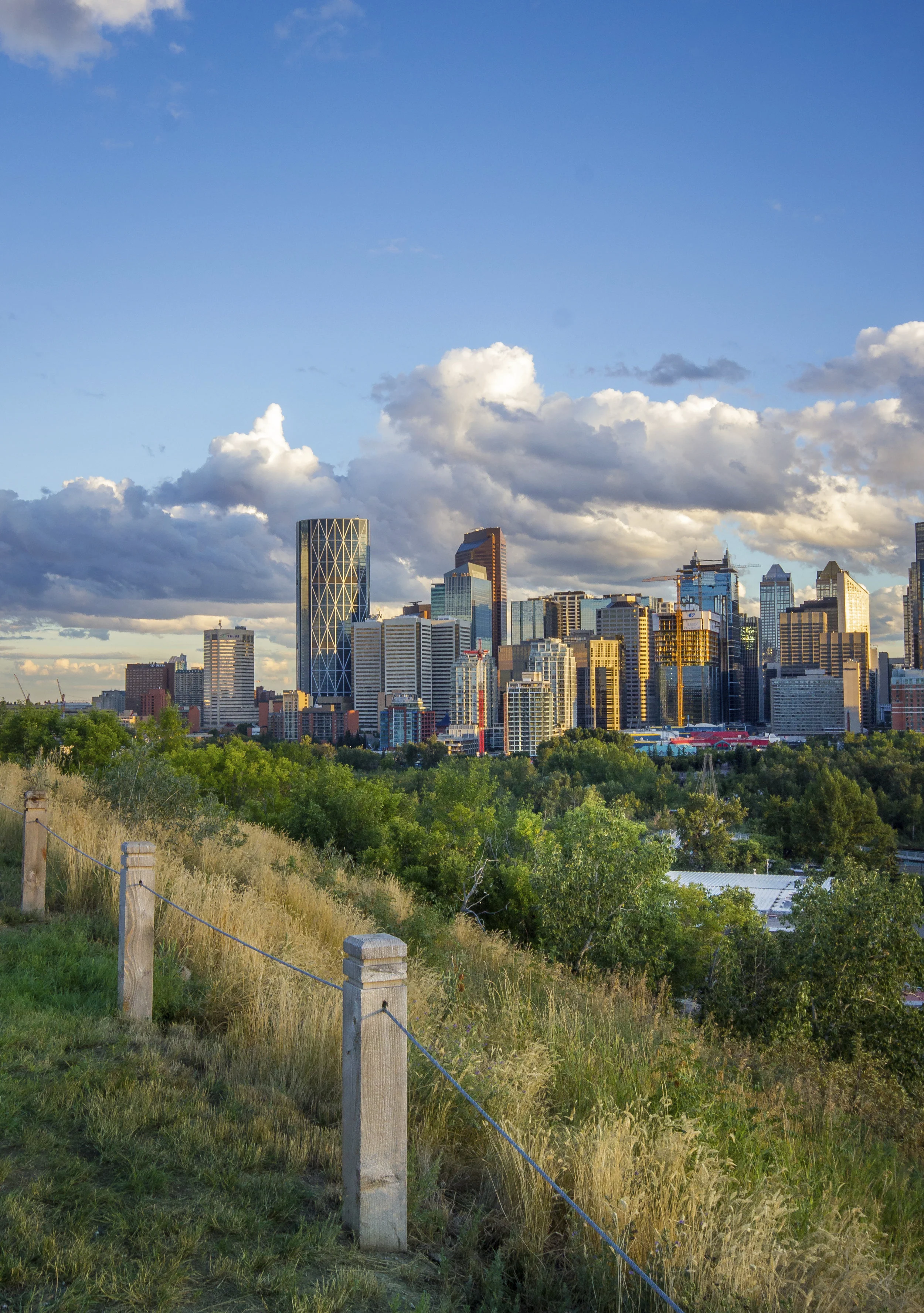iStock_000046833100_Full.jpg