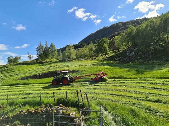 Fyrstesl&aring;tten er i gong 🌱 
#fyrstesl&aring;tt #gardenp&aring;dalland #sl&aring;tt #vestlandet #vestlandsbonden #bondeogsm&aring;brukarlaget #tysnes #tysnessommar #mittkontor #ungeb&oslash;nder #farmer #norwegianfarmer #norwegianfarm #farming #