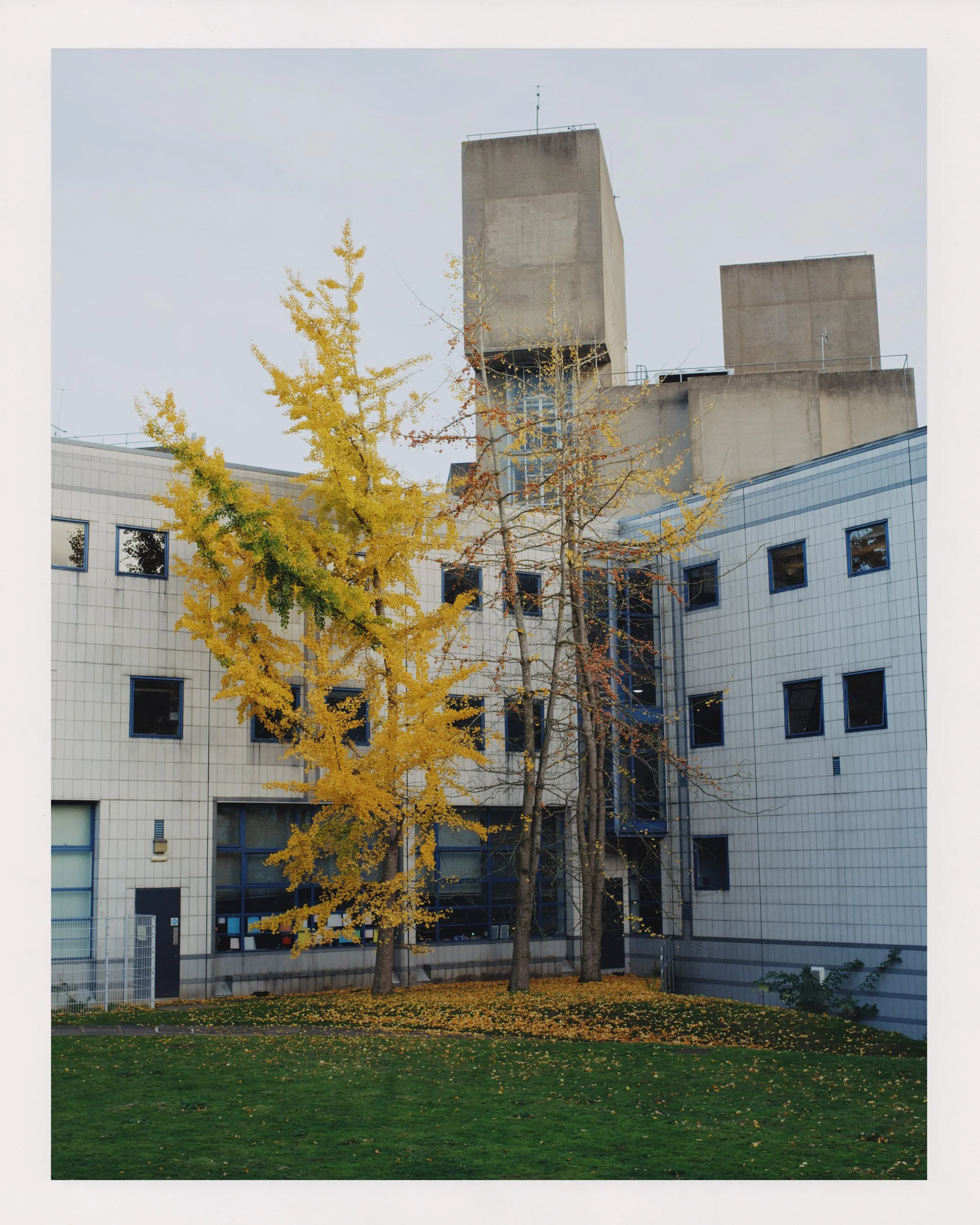 UEA_Old_Wall_Tests_1125_00009_6K_Bordered.jpg