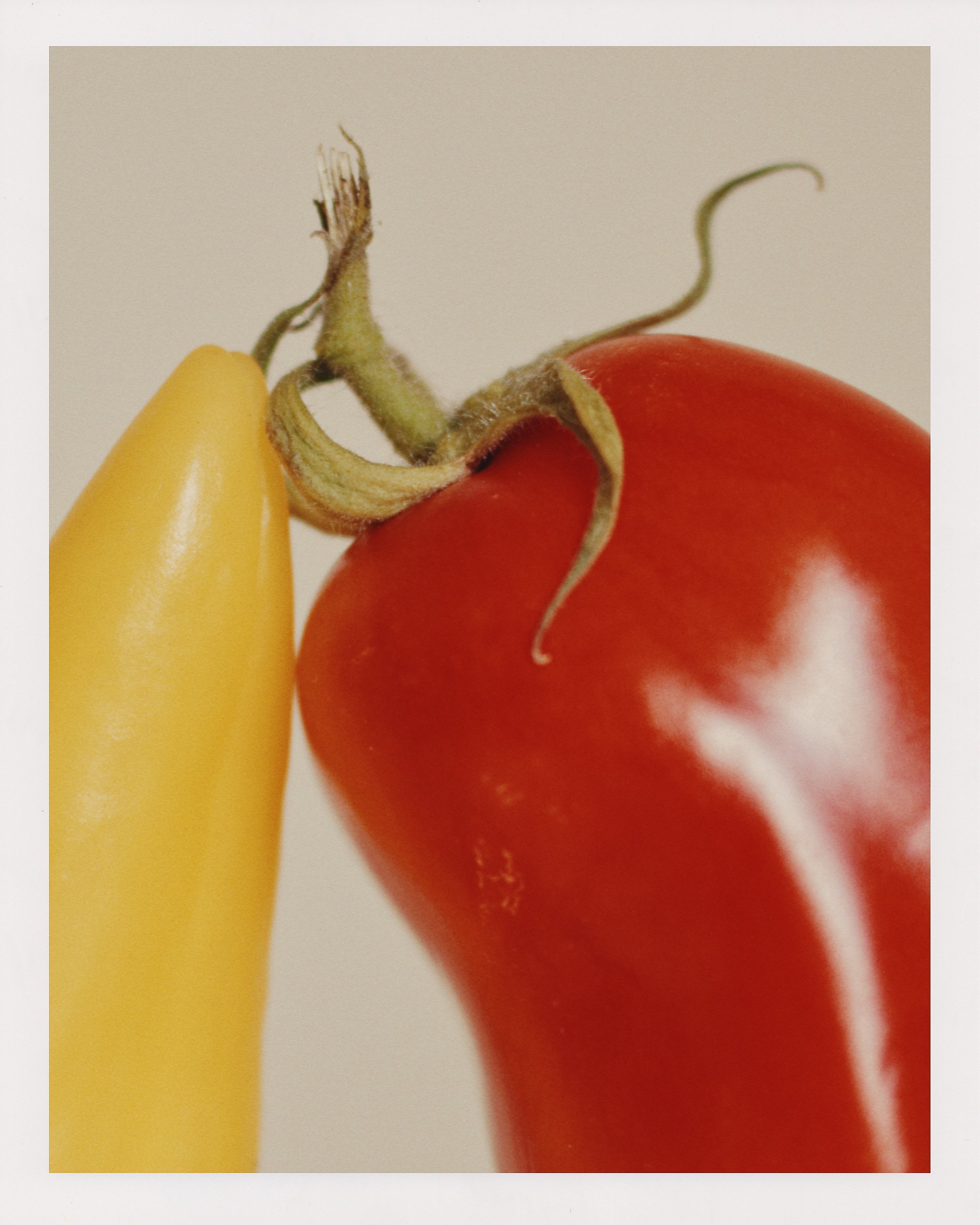 Tomato_Pepper_0825_00006_Cropped_1_Bordered.jpg