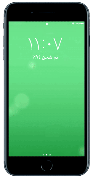 UAE.gif