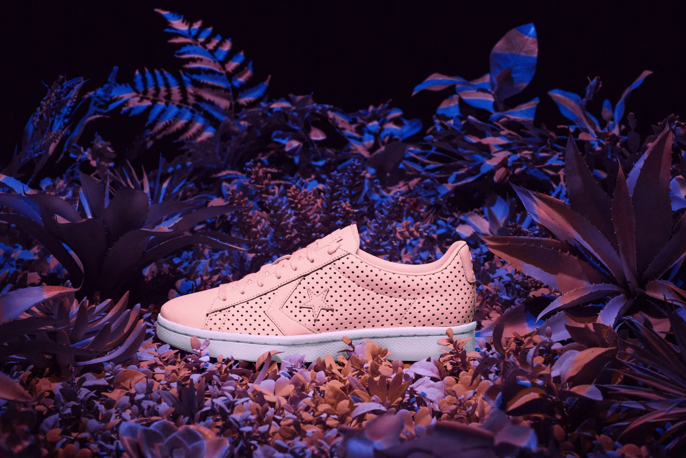 Converse_Botanical_Key Product_Pink_HiRes.jpg