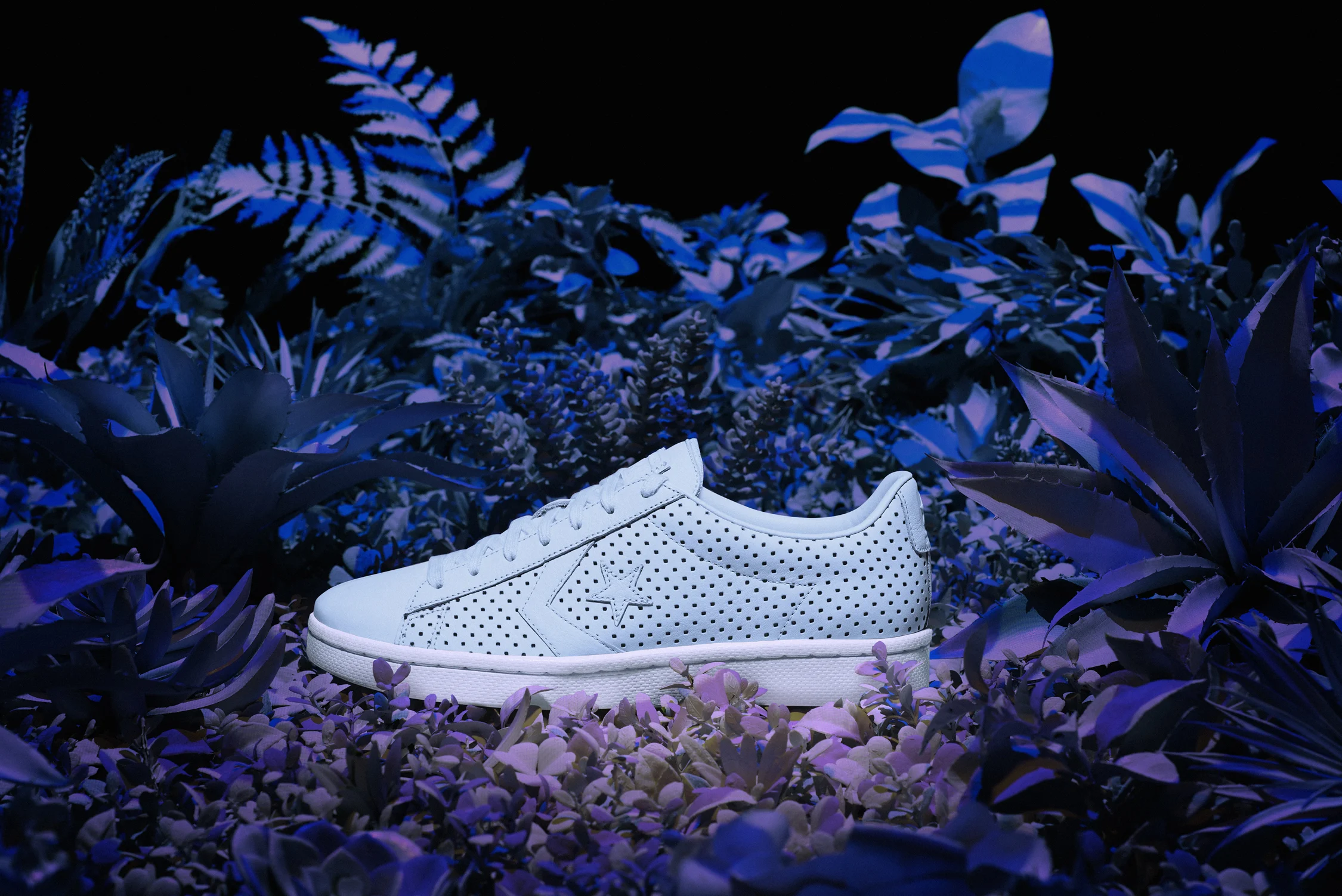 Converse_Botanical_Key Product_HiRes.jpg