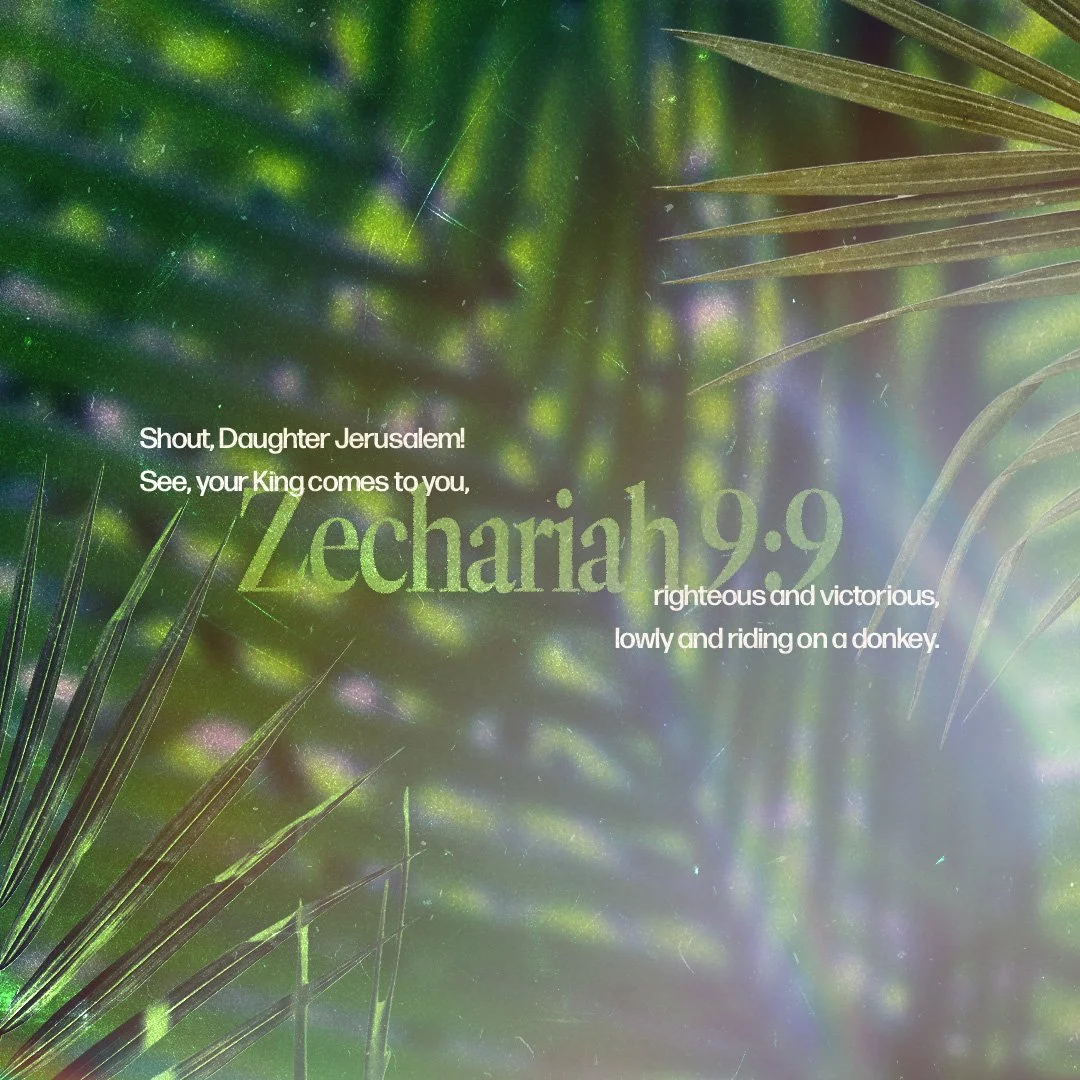 One week before Jesus' Resurrection, we celebrate His triumphal entry into Jerusalem. Join us this morning, in person or online at 10a.