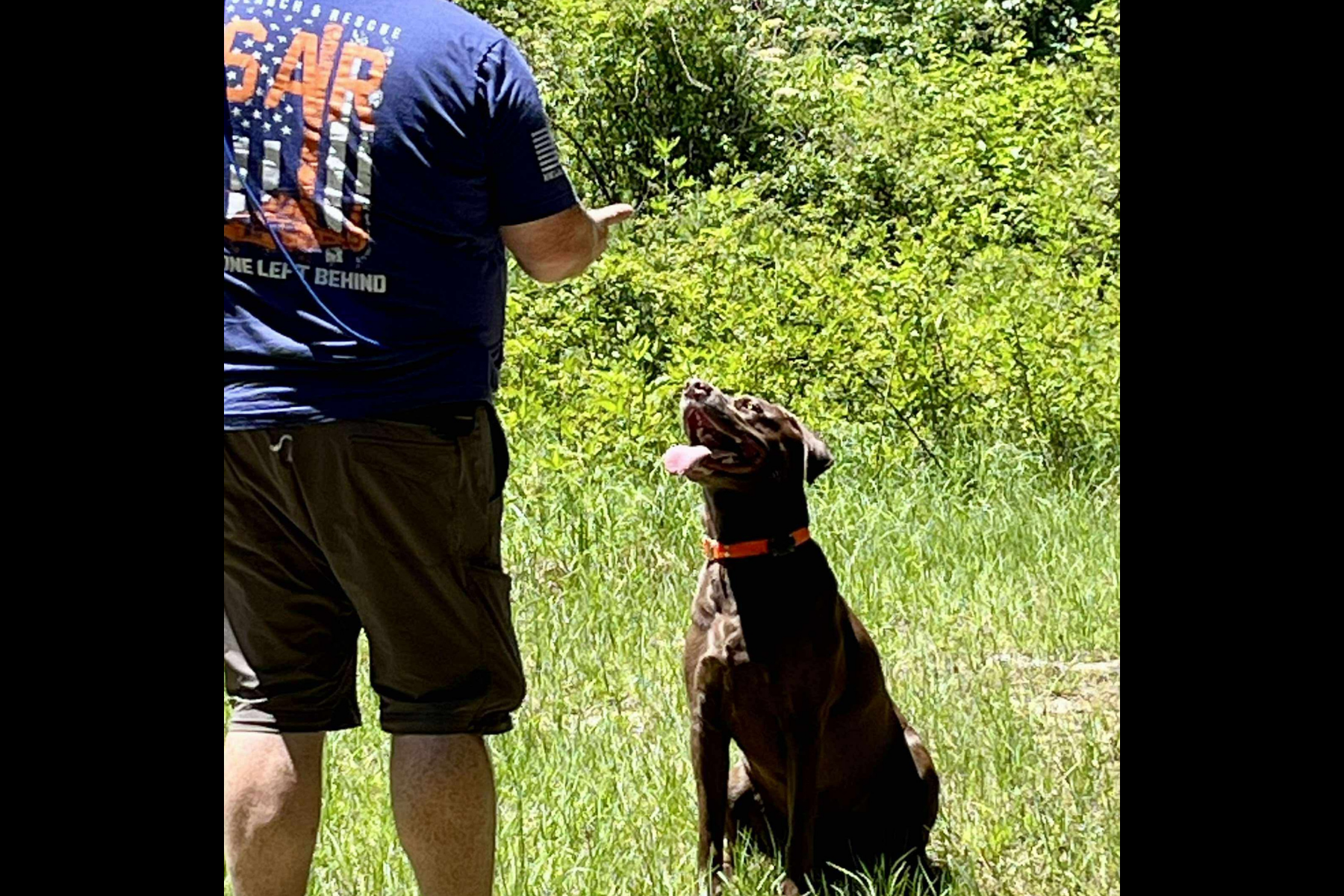 James Martin &amp; K9 Mackenzie