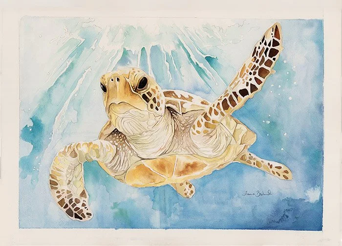Sea Turtle (sunlight)