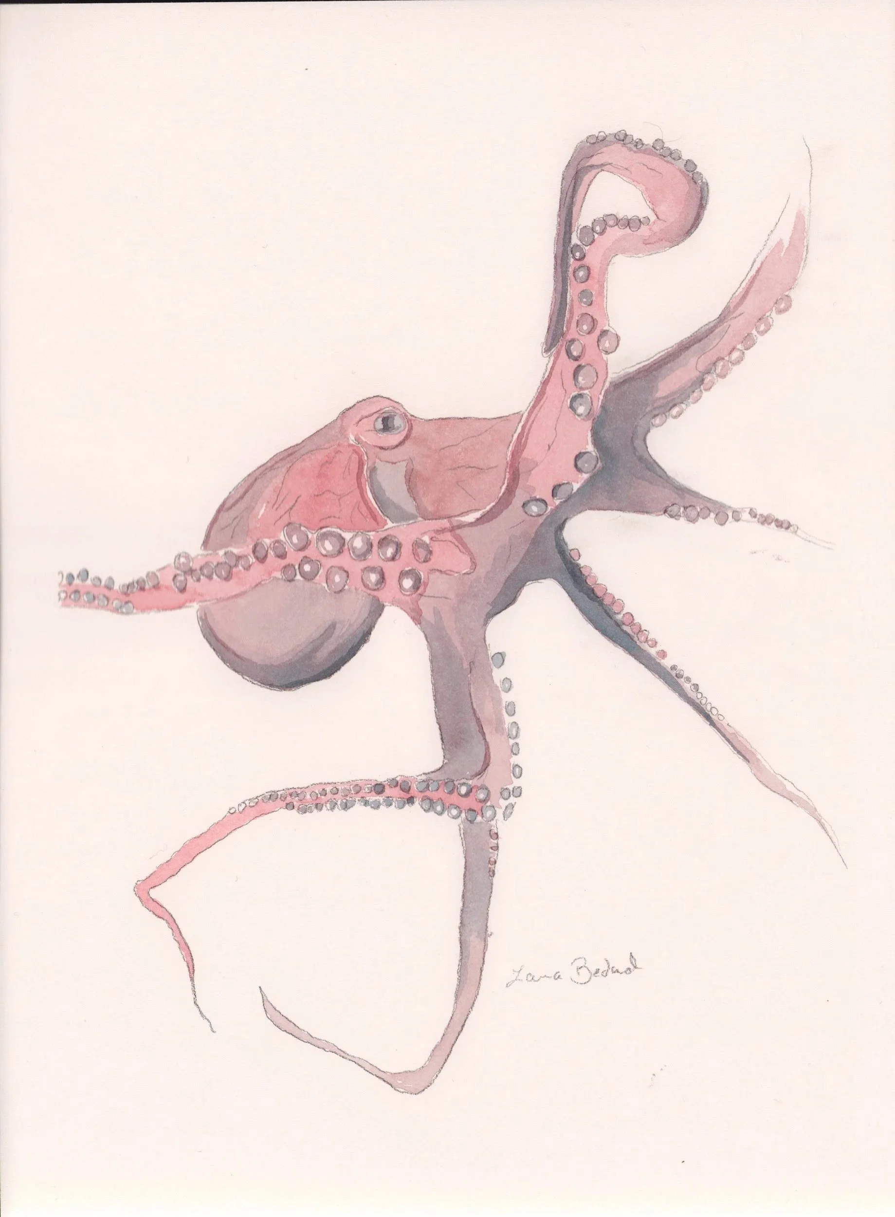 Octopus Dance (SOLD) Watercolor