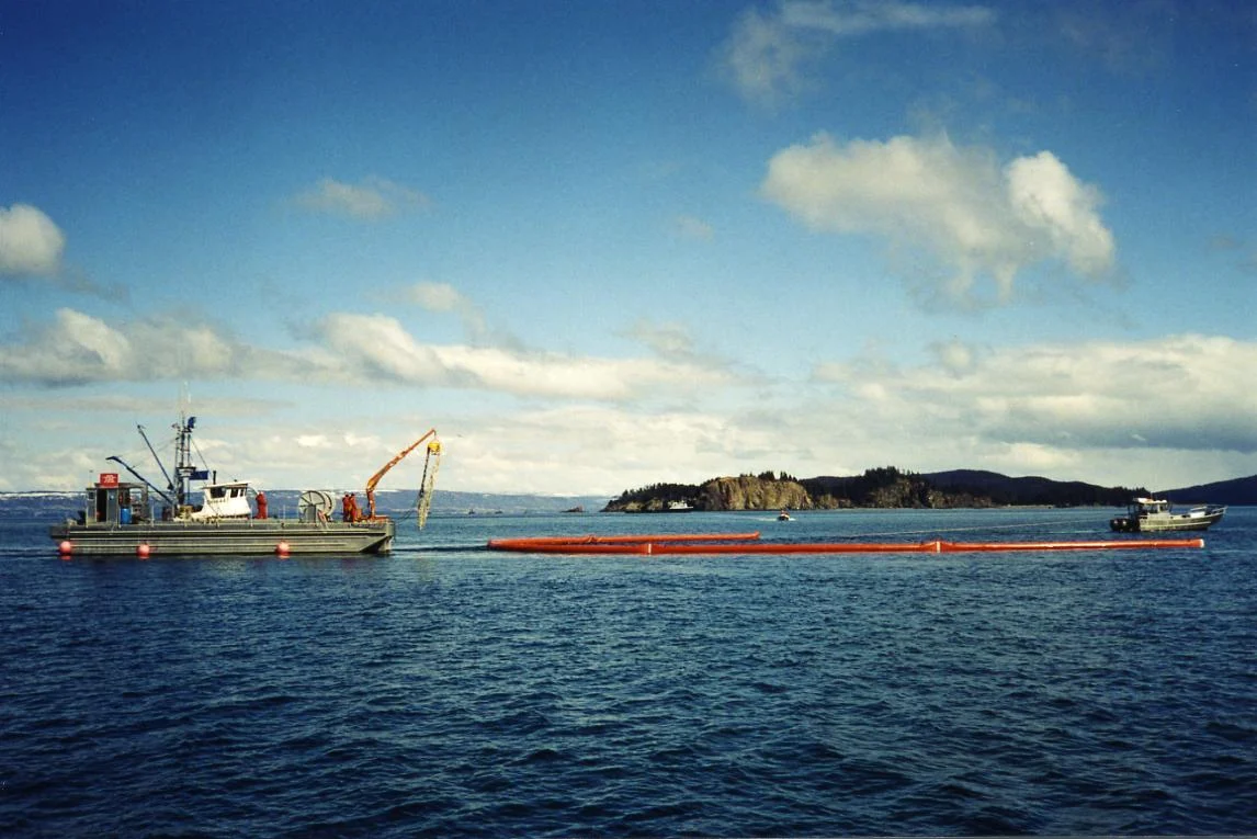 SOS0005.jpg