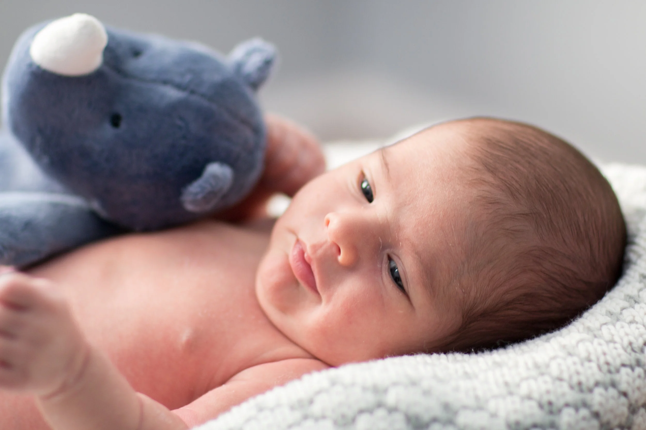 This newborn portrait photography shoot of baby Liam was wonderful! Snuggling close to his favorite stuffed animals, we used the best of the natural light to capture his innocence.