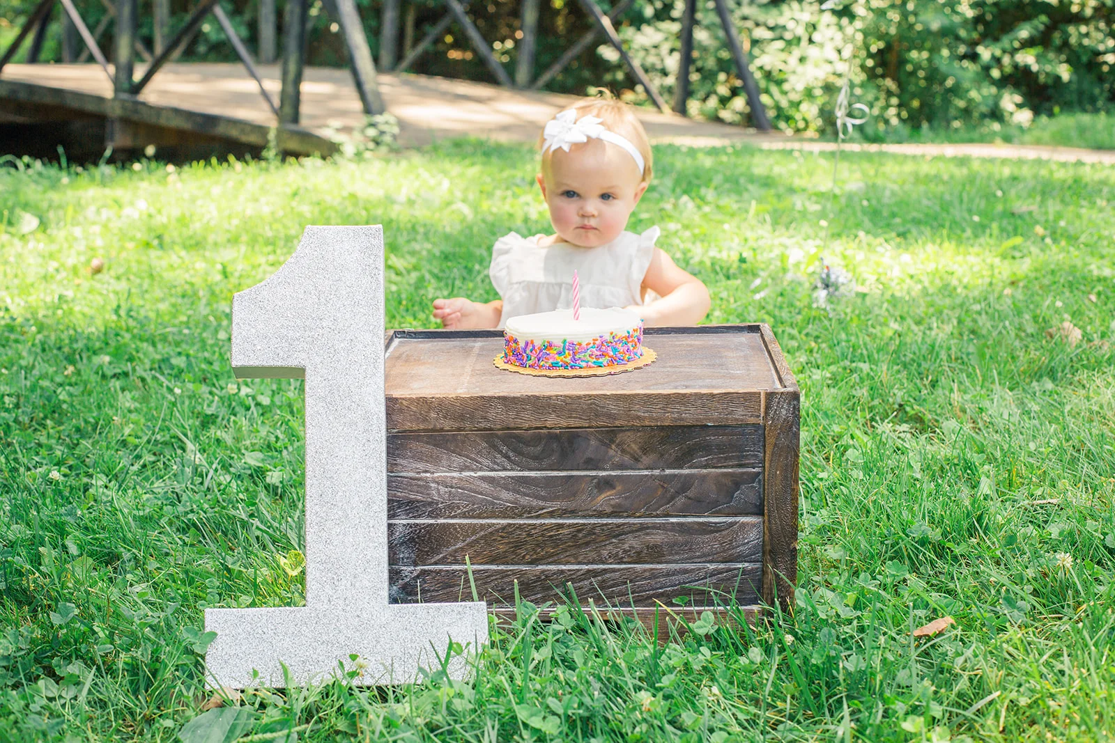 Amelia_One-Year_Cake_Smash-1324.jpg