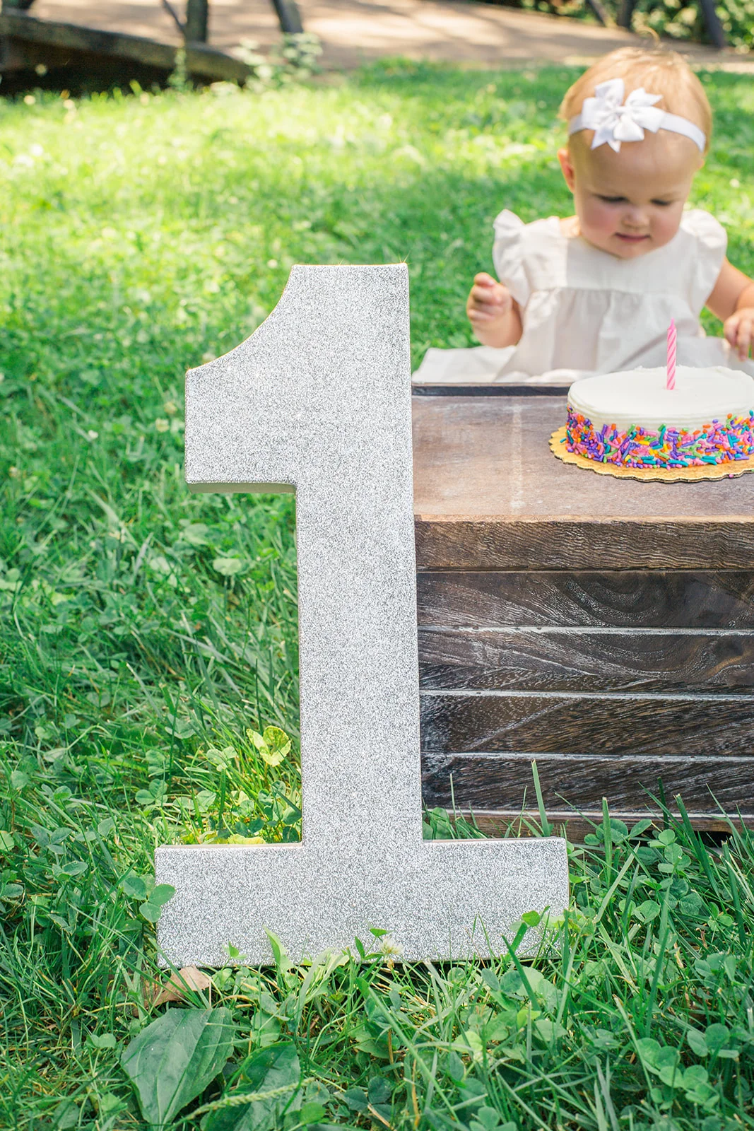 Amelia_One-Year_Cake_Smash-1330.jpg