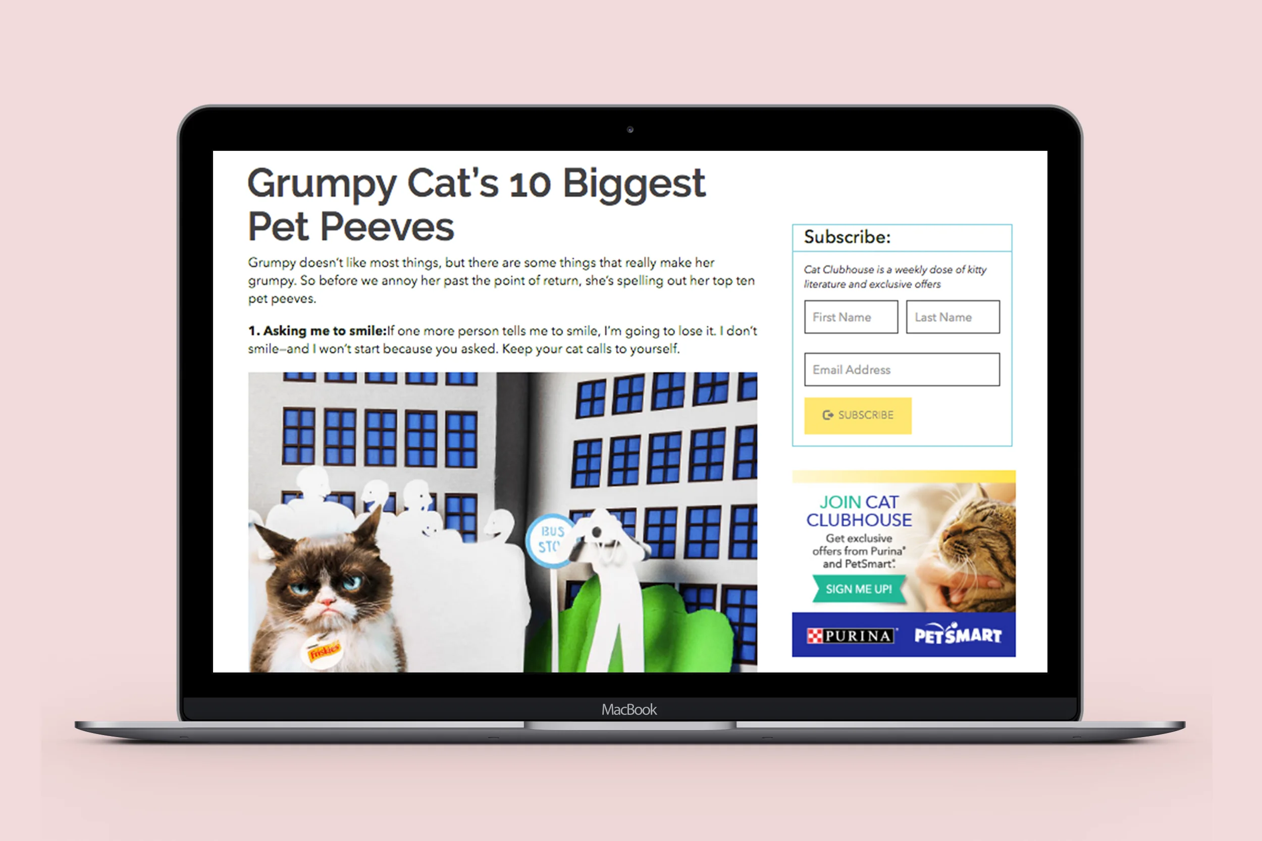 Grumpy Cat's 10 Biggest Pet Peeves