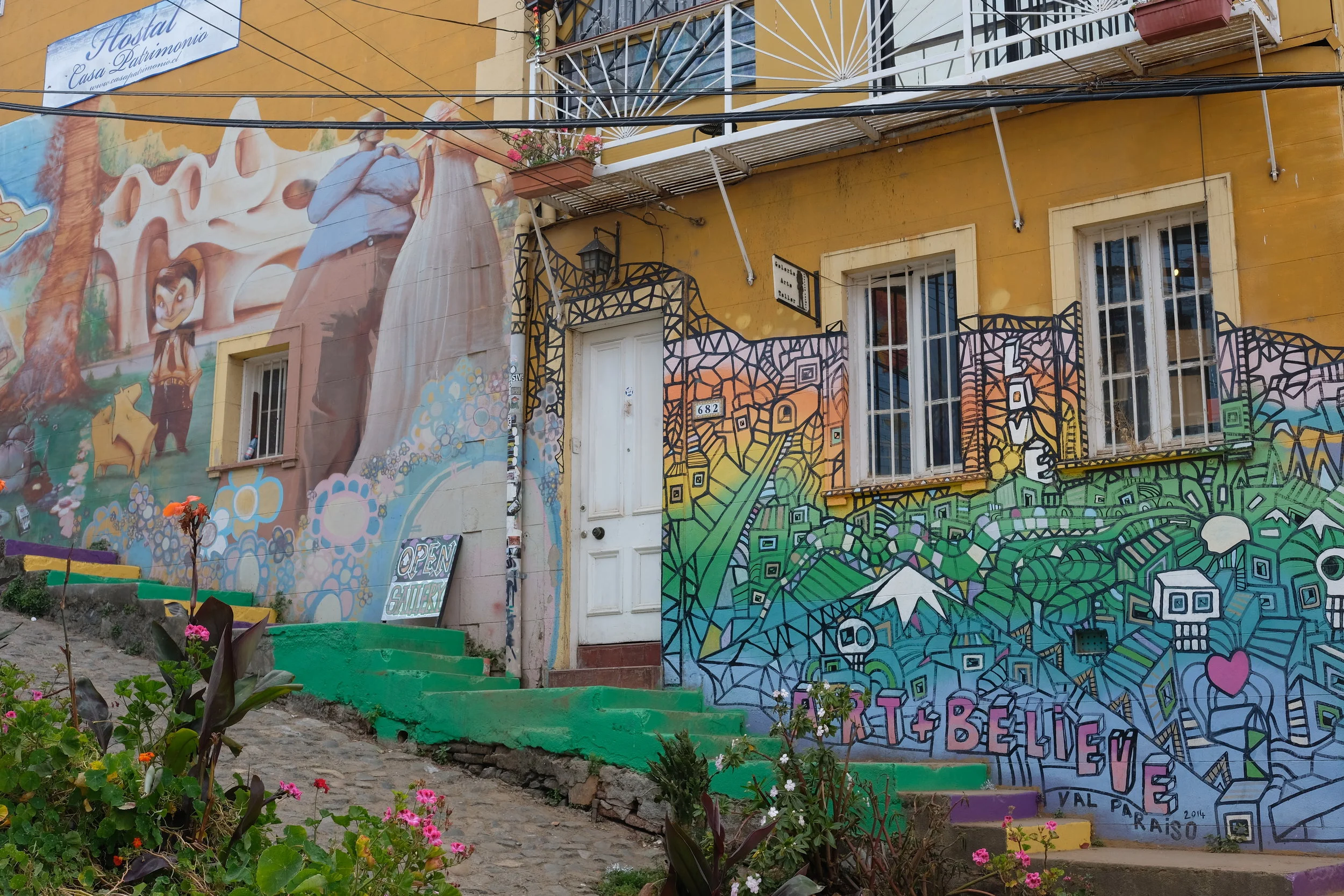 DSCF0729.jpg