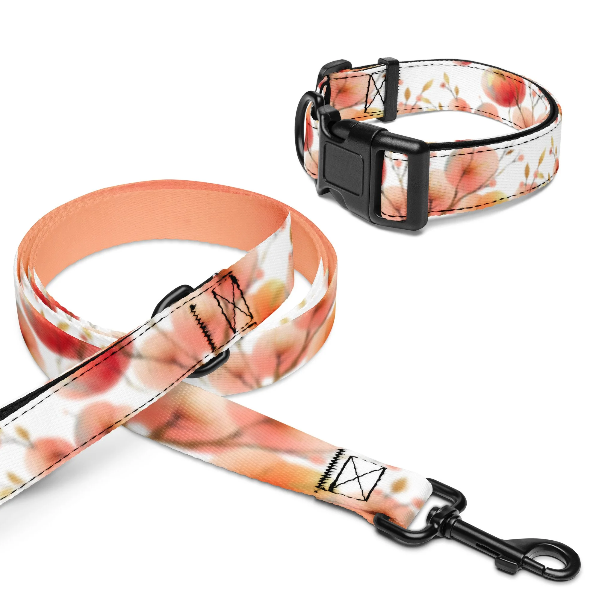 pet-collar--leash-white-m-front-6669d7e9571ef.jpg