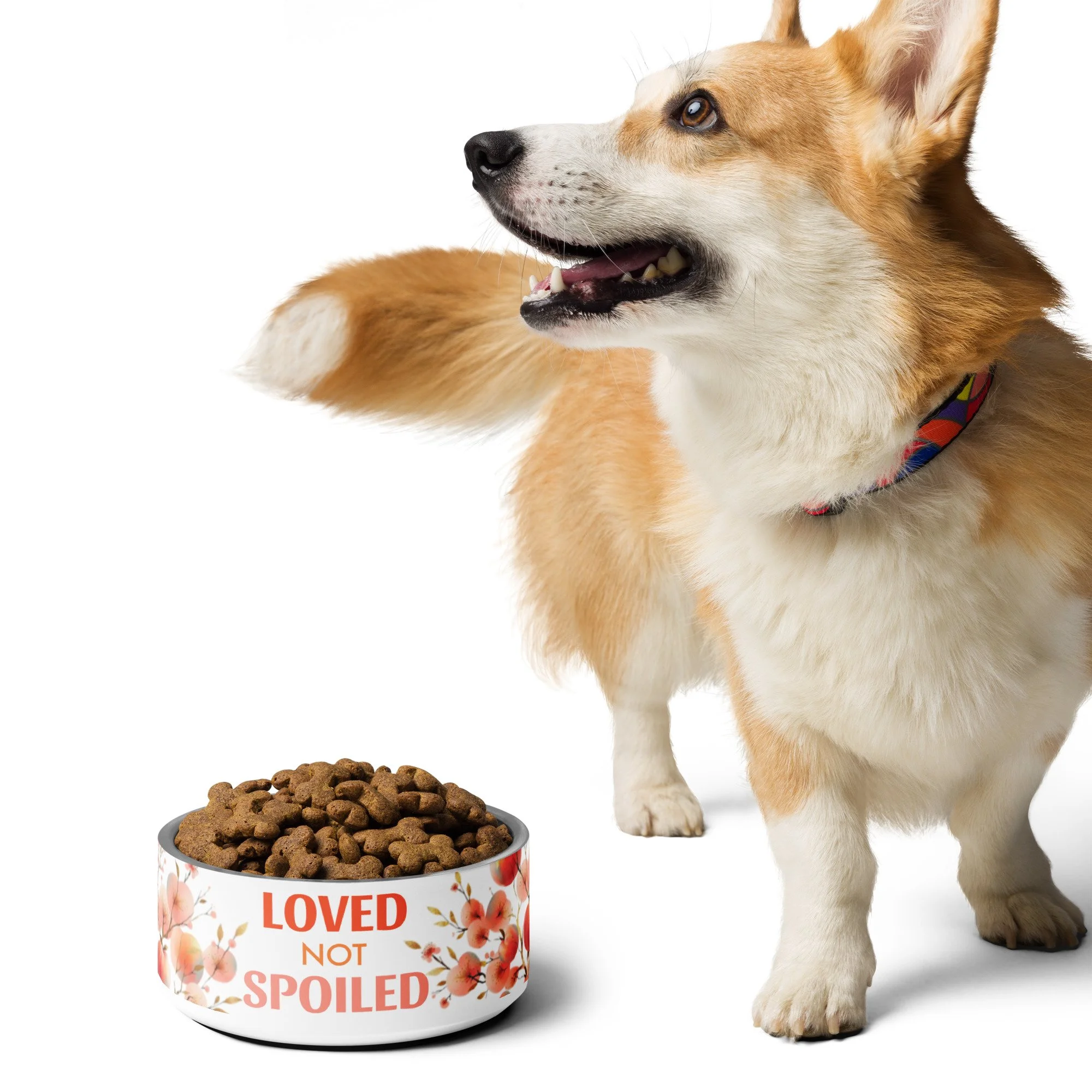 pet-bowl-white-32-oz-front-6669eb8fd9909.jpg