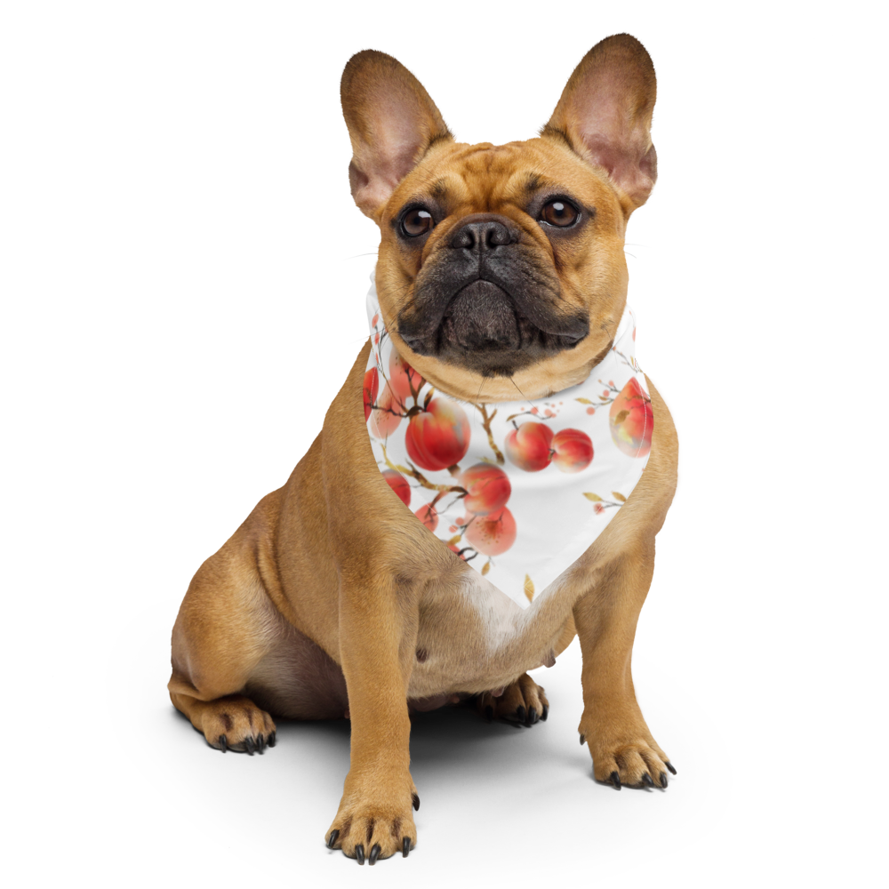 Doggy Bandana.png