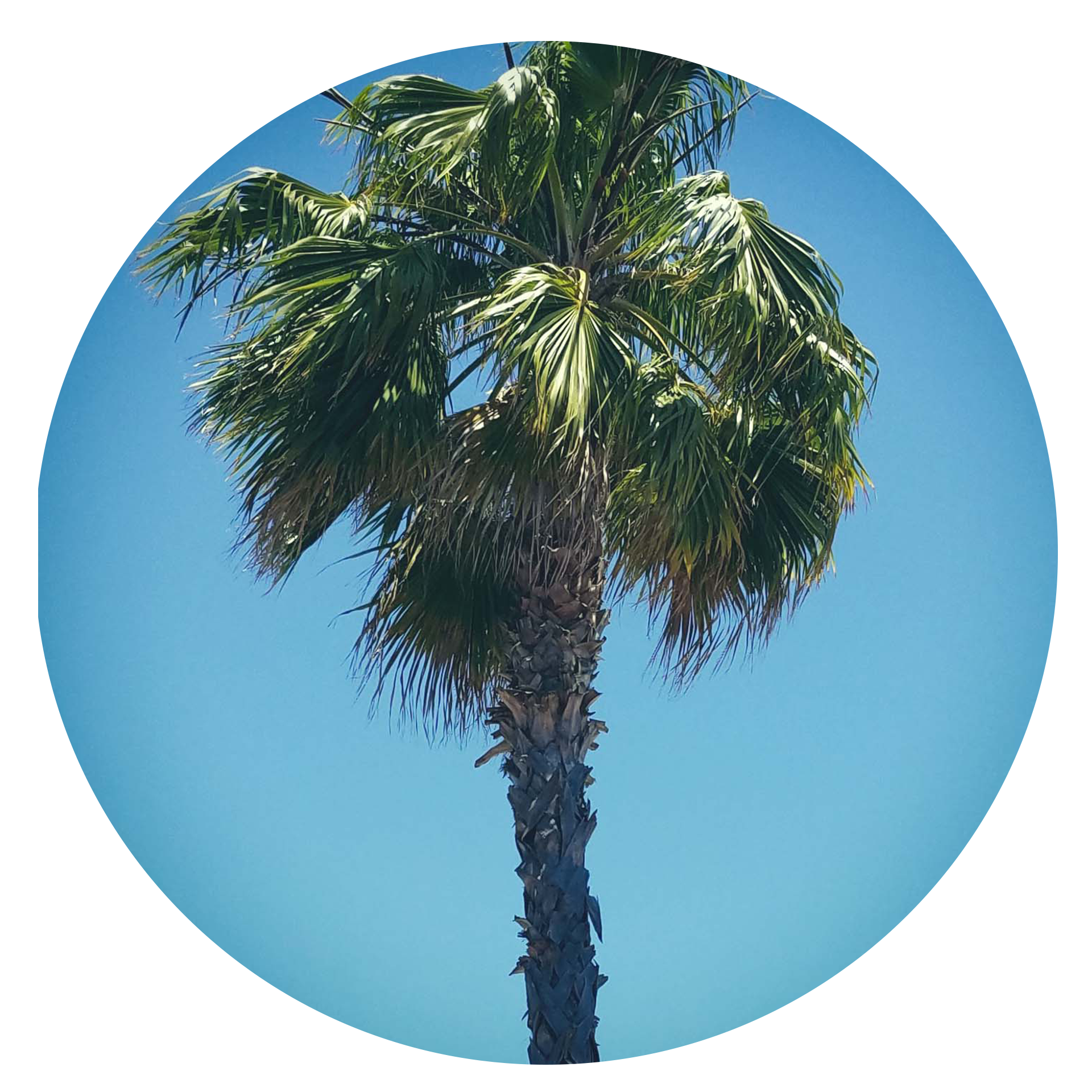 location.jpg