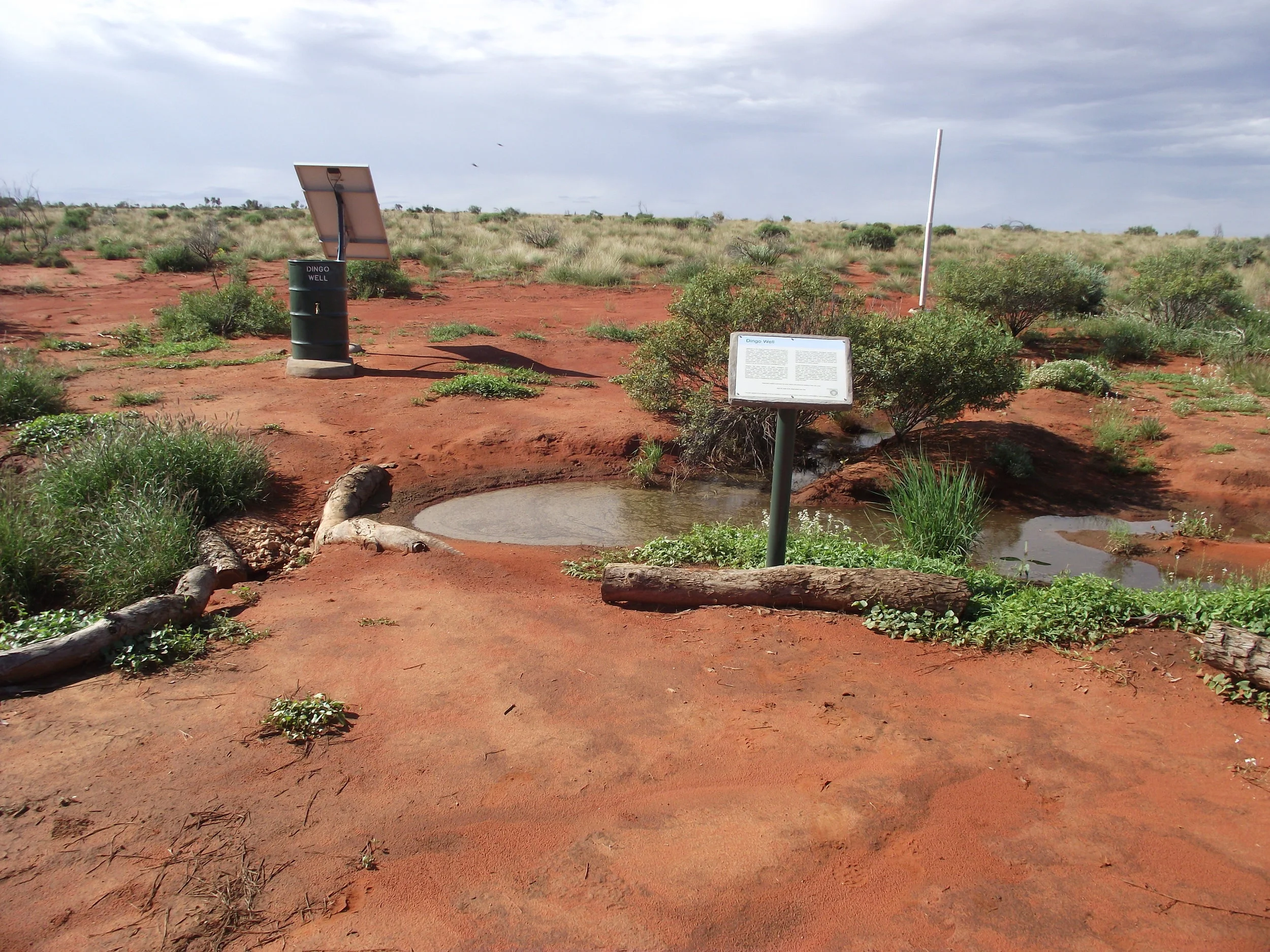 Dingo Well