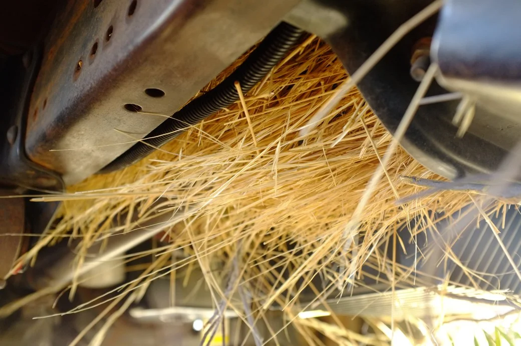 Spinifex gathered under cruiser creates a fire hazard.