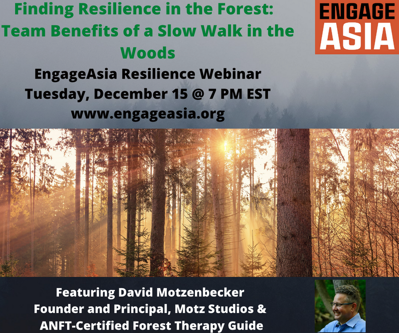 FINDING RESILIENCE IN THE FOREST – TEAM BENEFITS OF A SLOW WALK IN THE WOODS