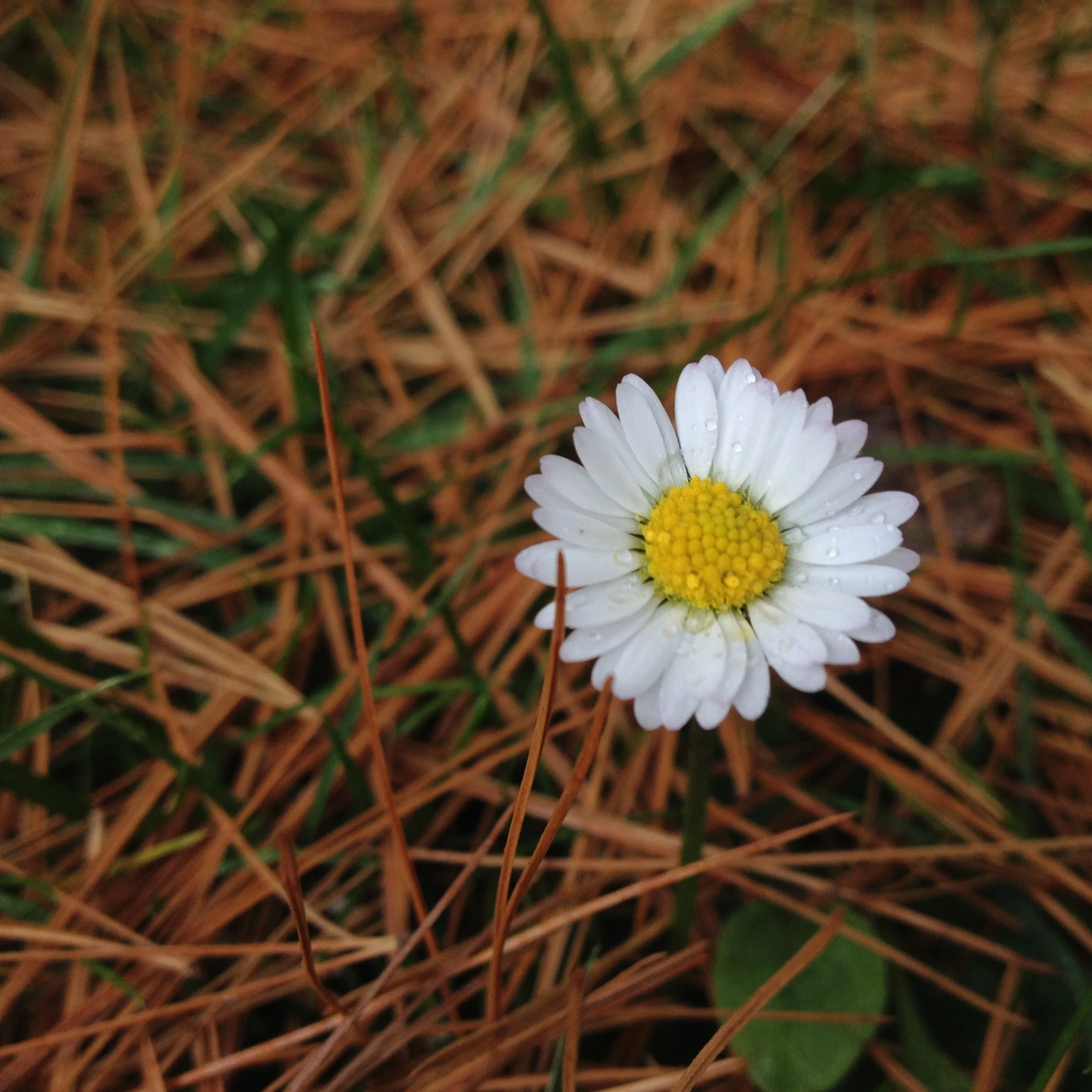 An Open Letter from and to Female Scientists
