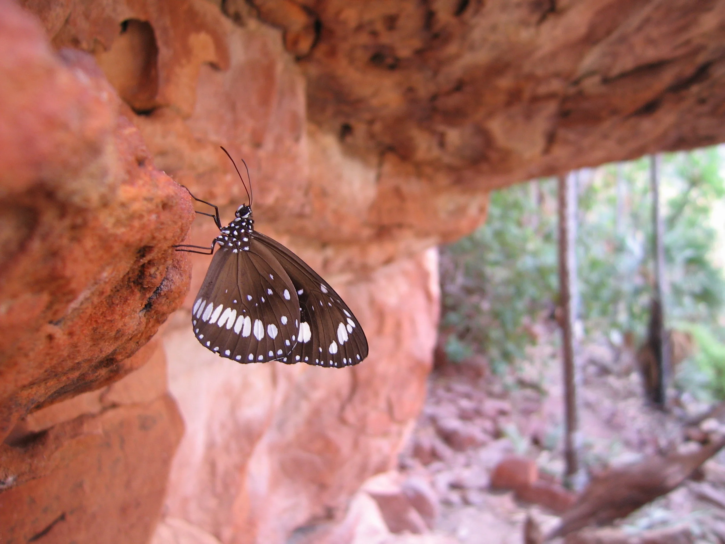 The photos behind 500 Women Scientists