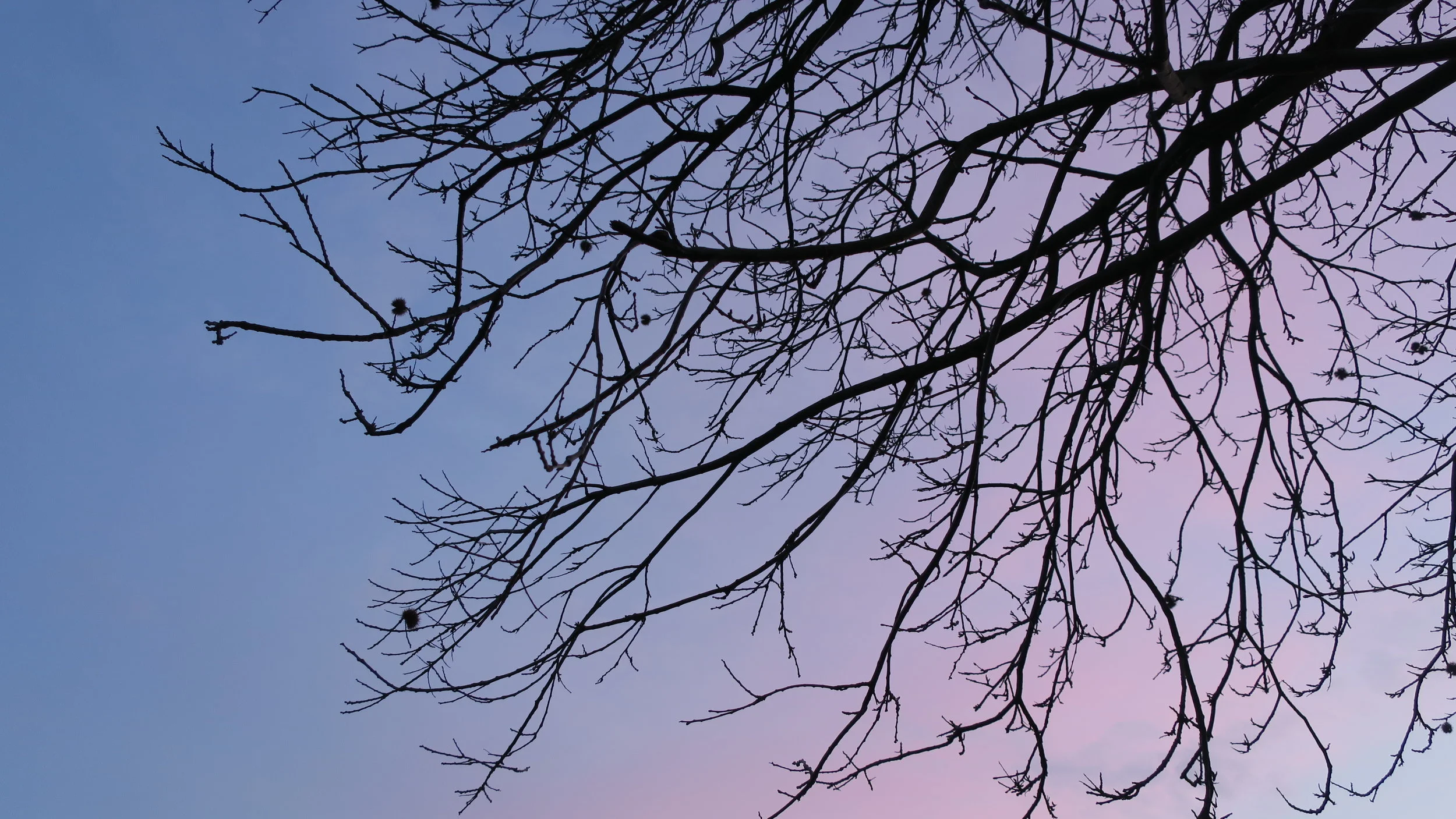 500 Women Scientists in the Washington Post