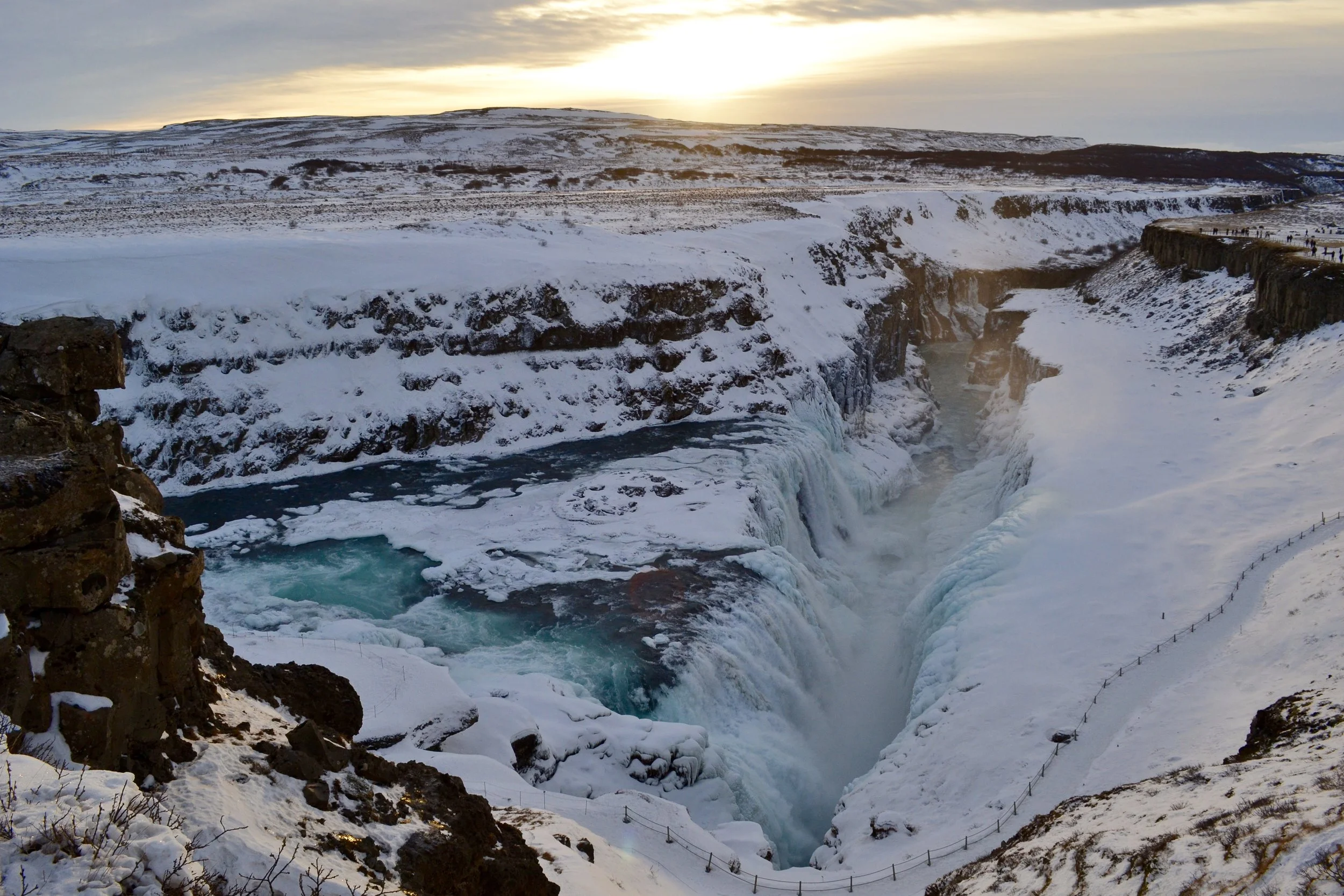 Take Action Thursday - with Holiday Bonus