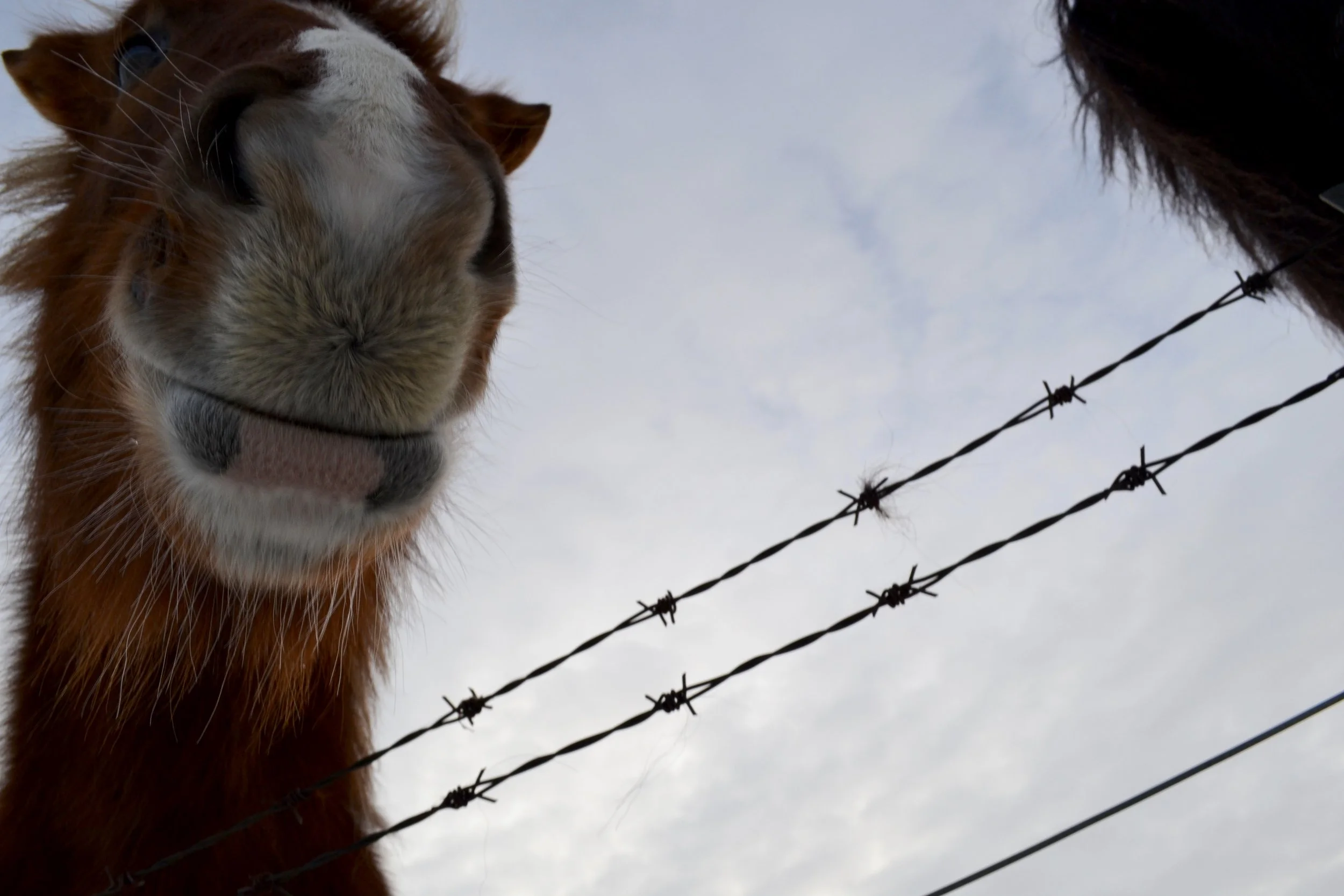 Take Action Thursday