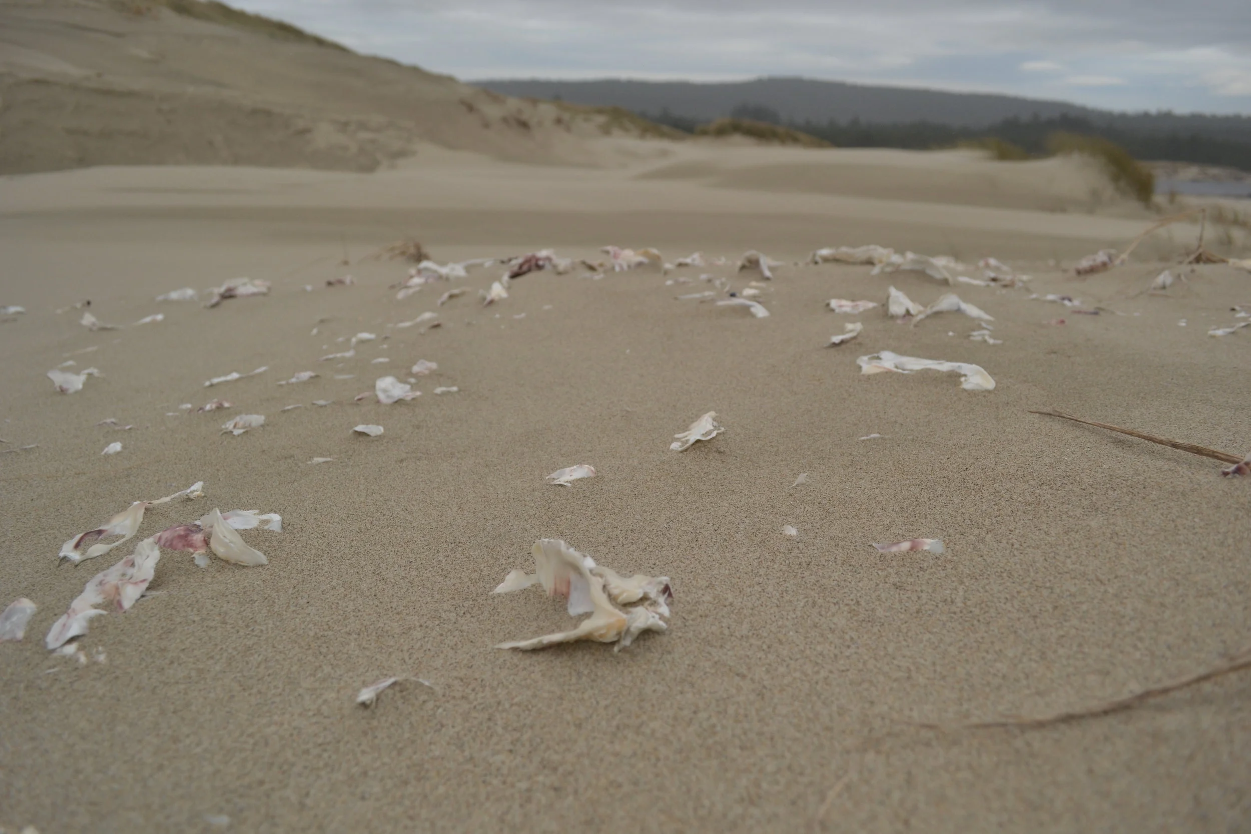 Take Action Thursday