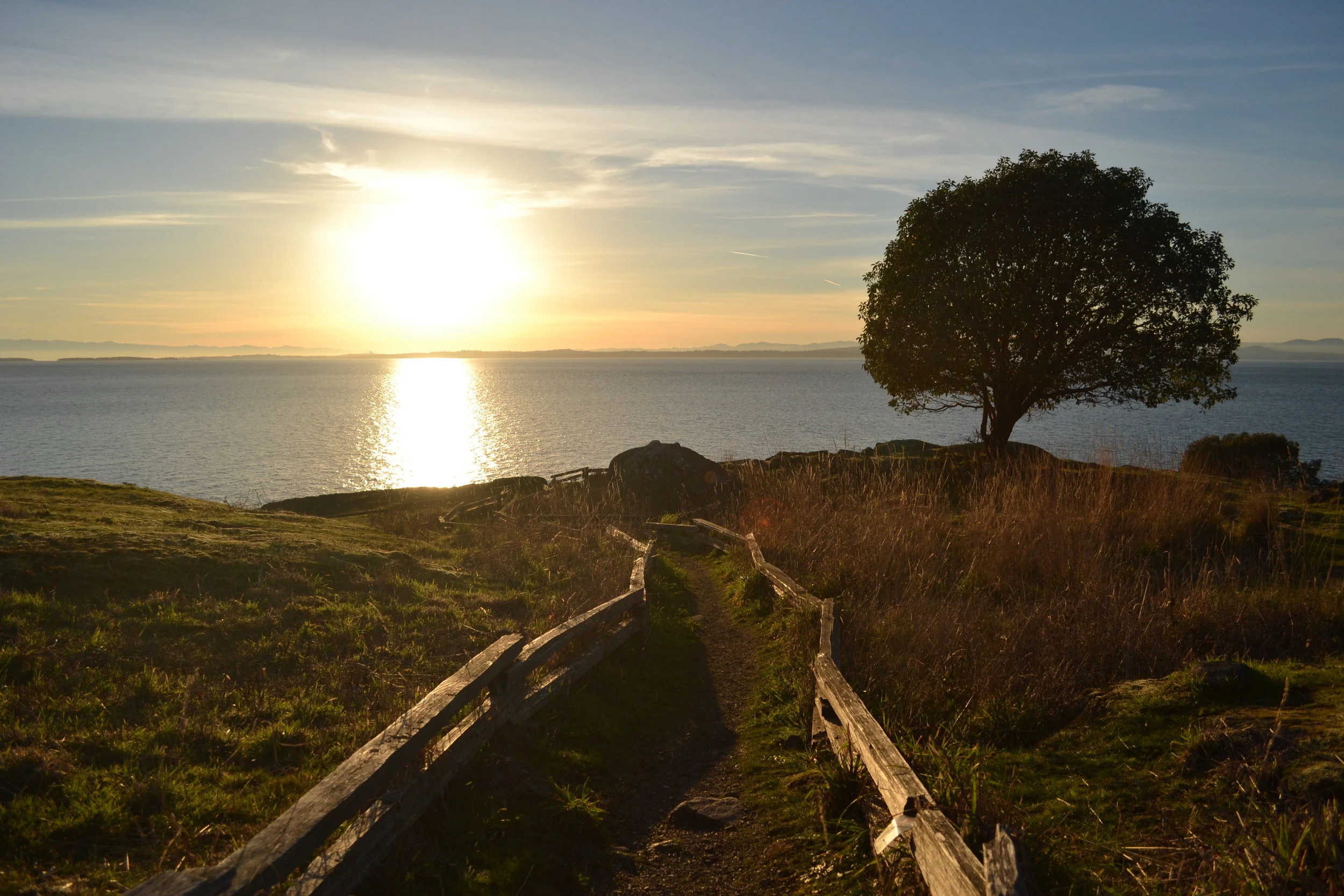 Take Action Thursday - the March