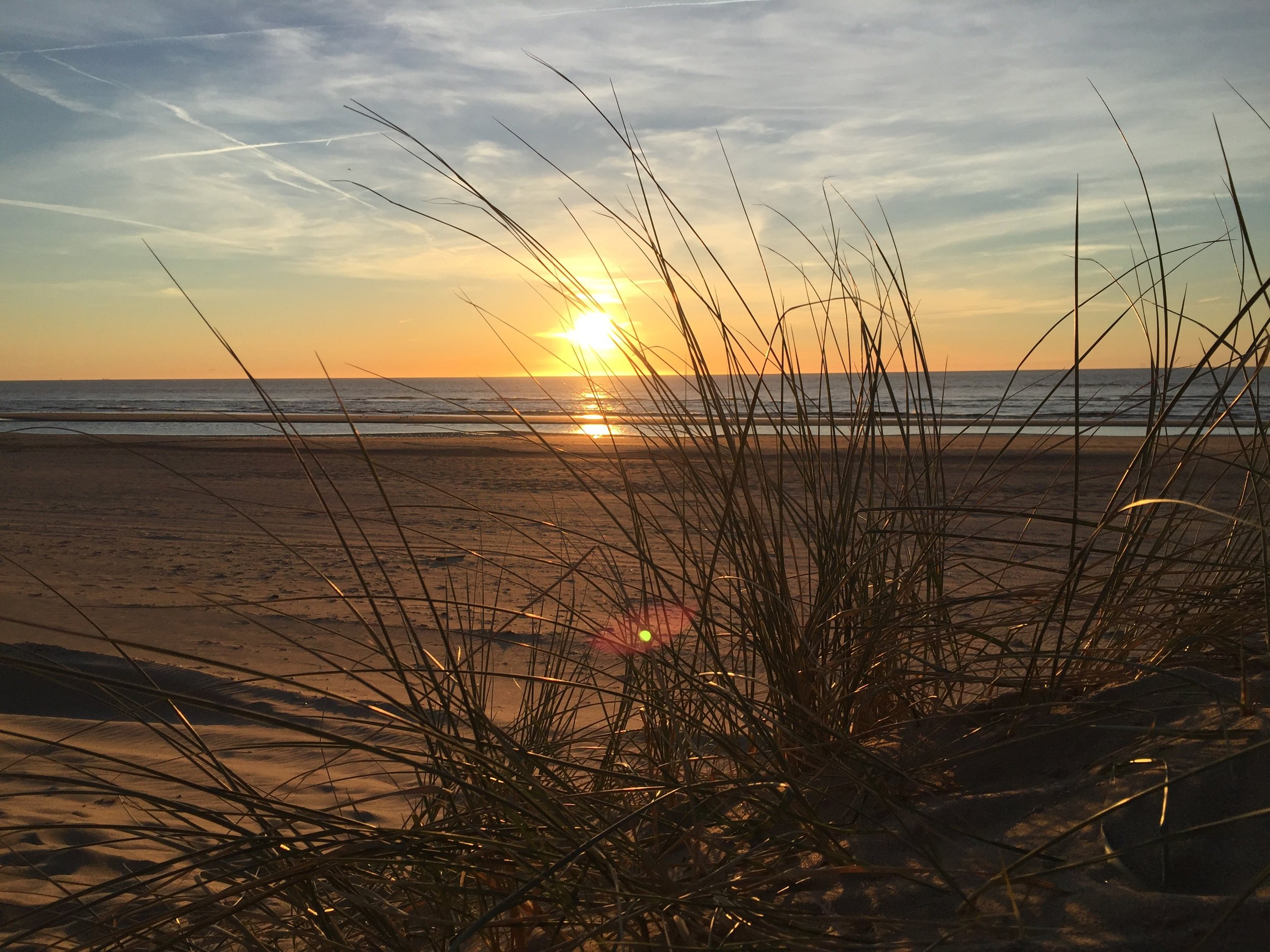 Meet a young scientist