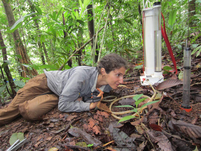 Measuring soil infiltration rates in Costa Rica