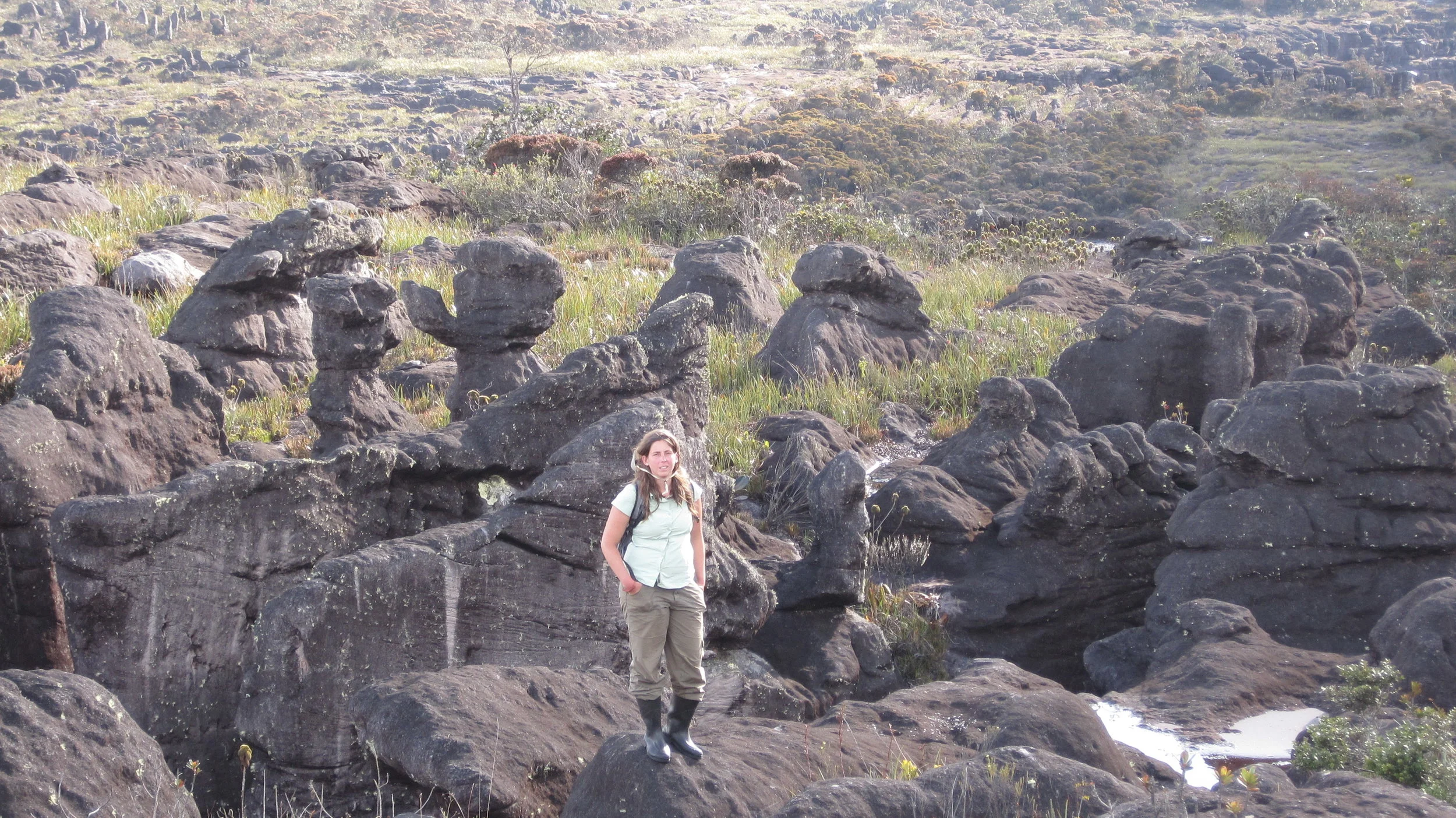 Forging my own trail