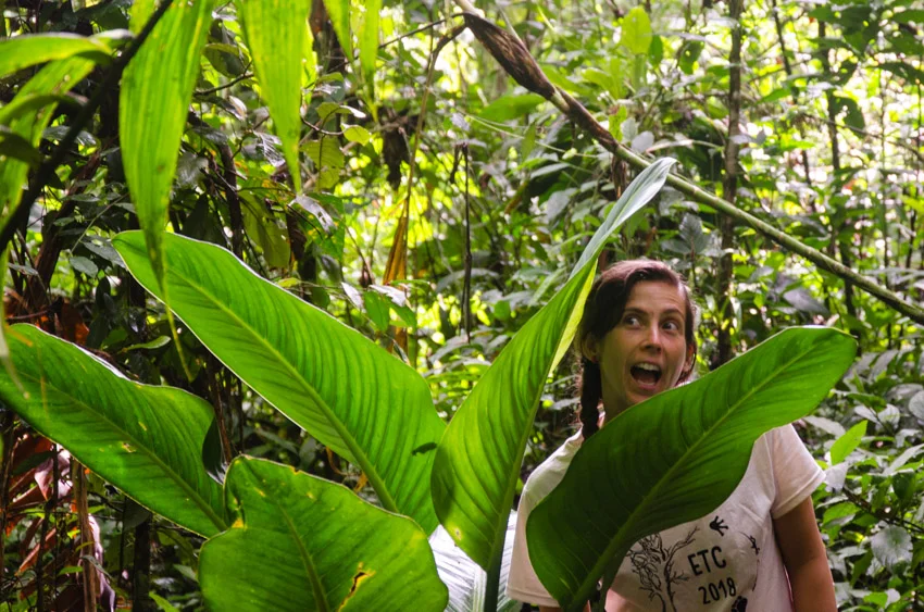 costarica_weirdo.jpg