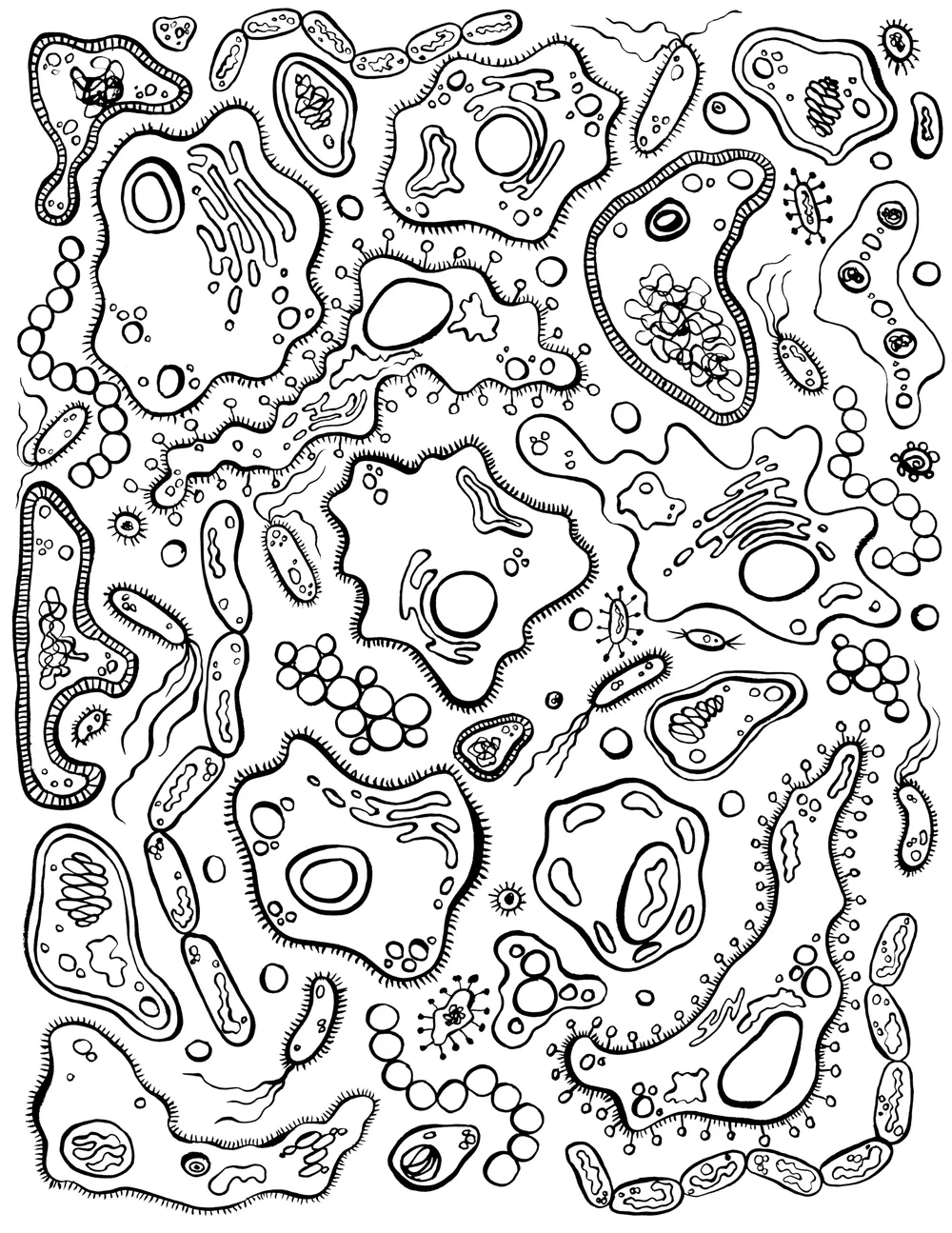 Download Covid 19 Educational Resources For Kids 500 Women Scientists