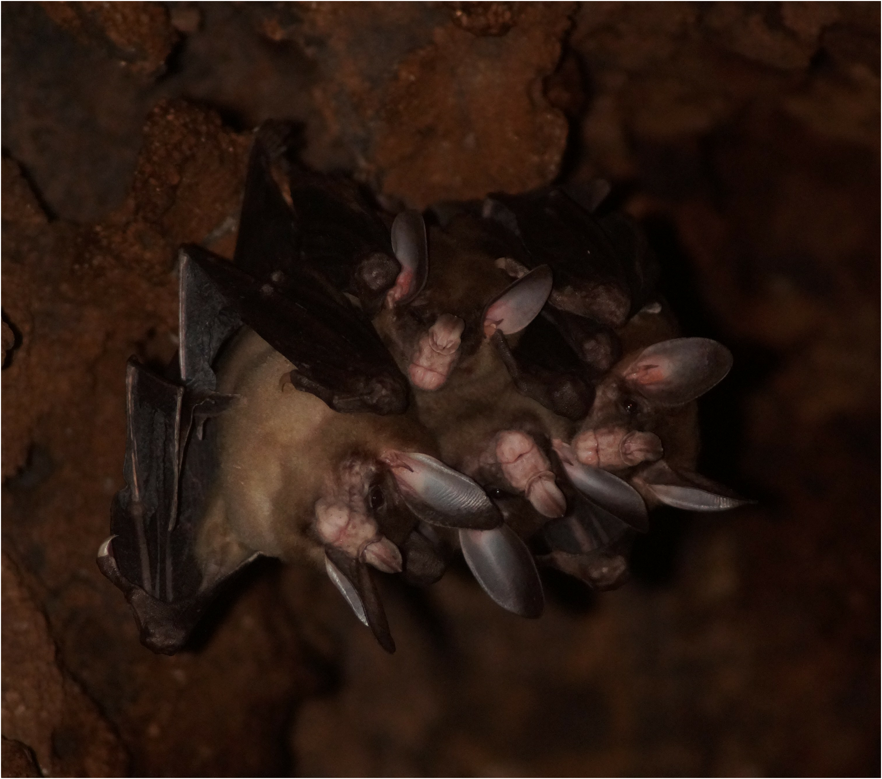 What are we “for”?