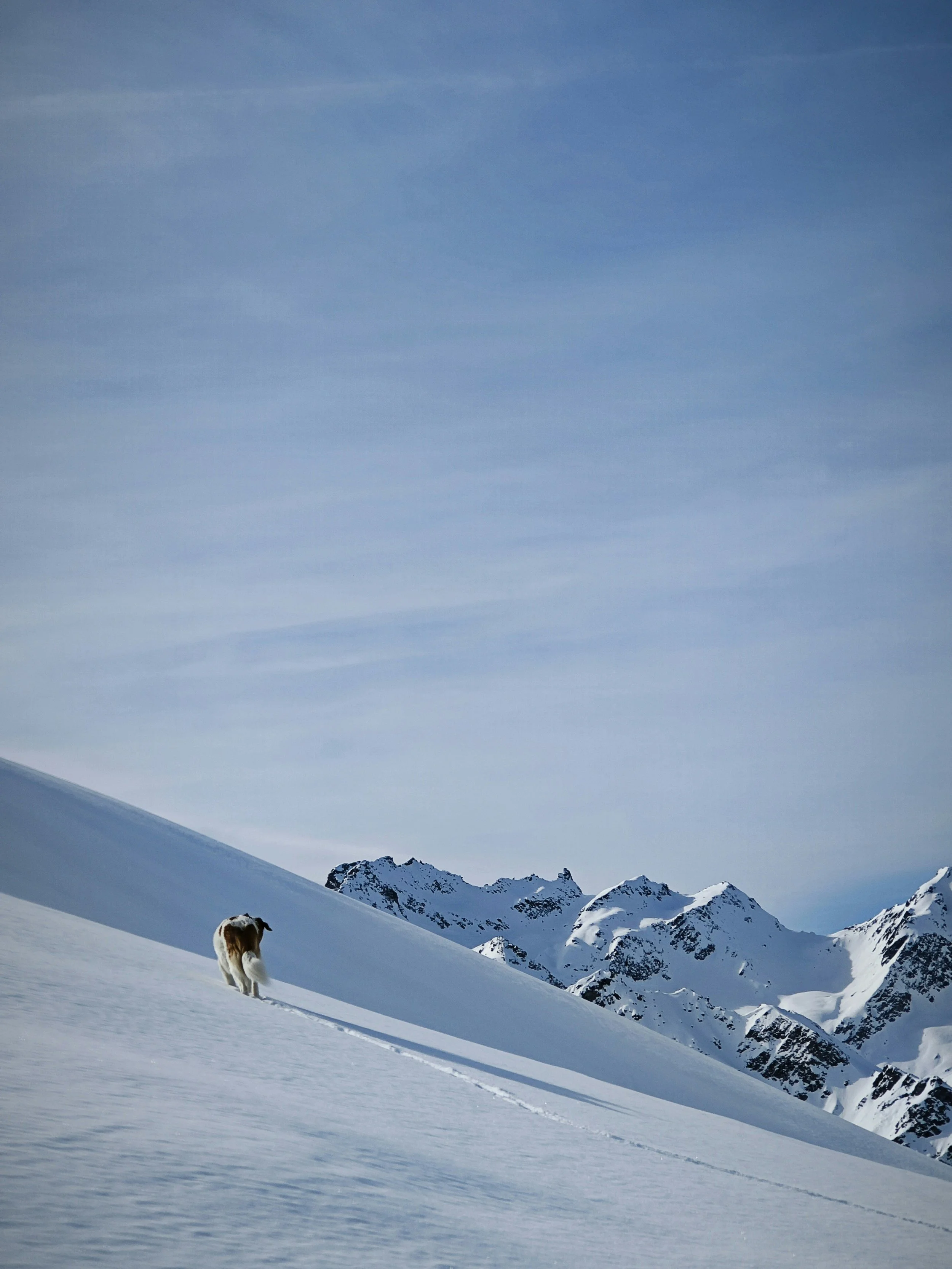 What am I doing to fight fascism?