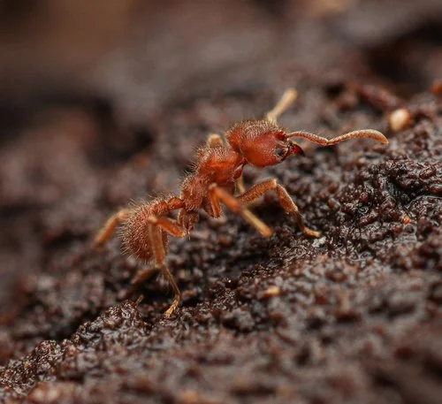 Its getting pretty dark out here