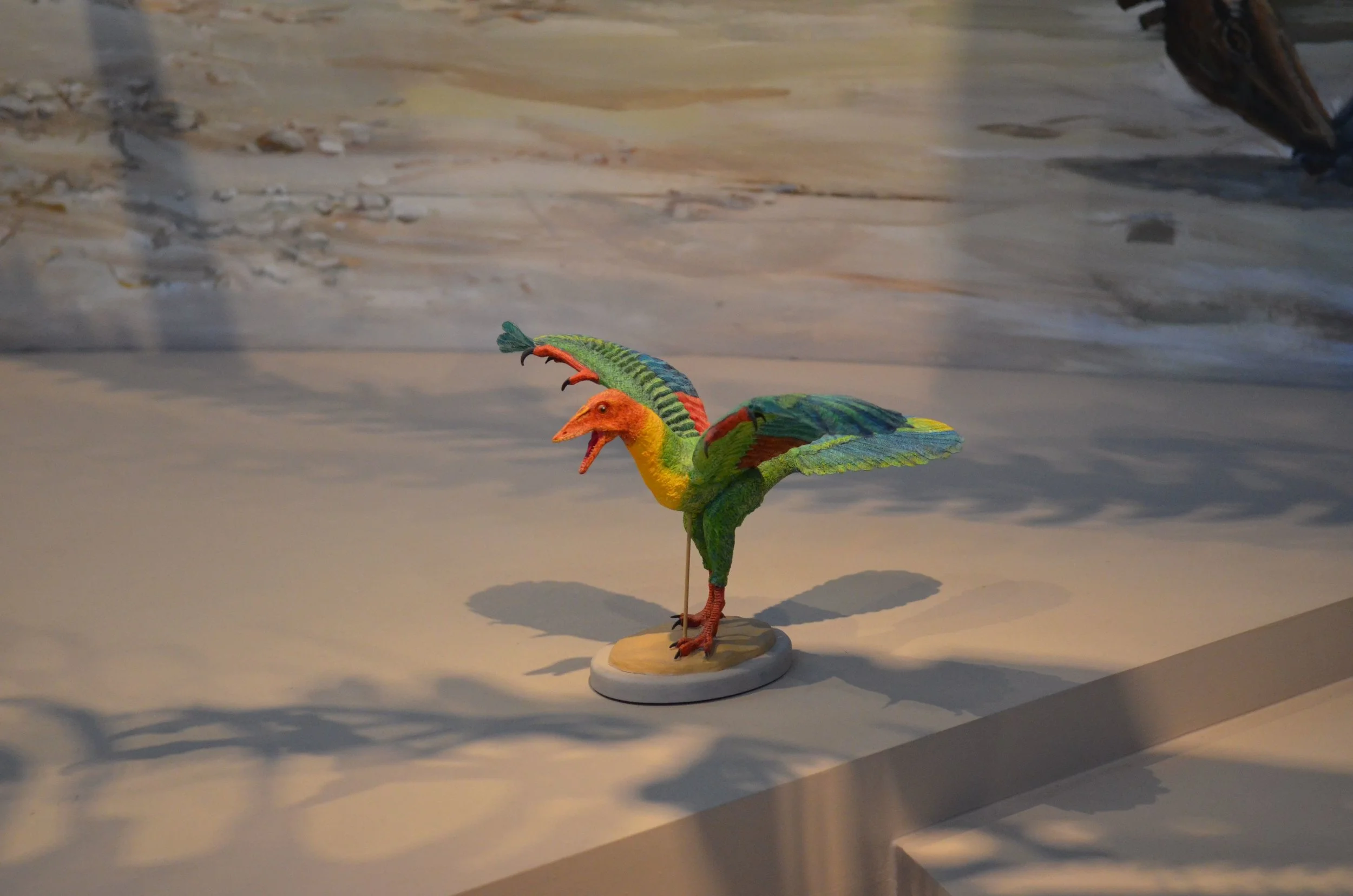 DSC_0211.jpg