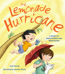The Lemonade Hurricane - Licia Morelli