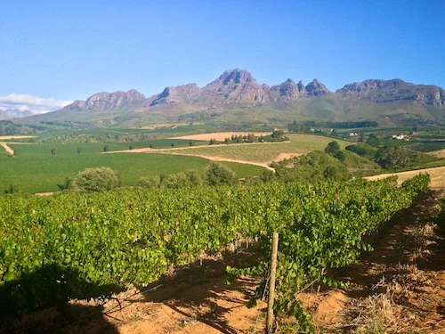 wpid-Stellenboschweek1043-2015-02-3-20-19.jpg