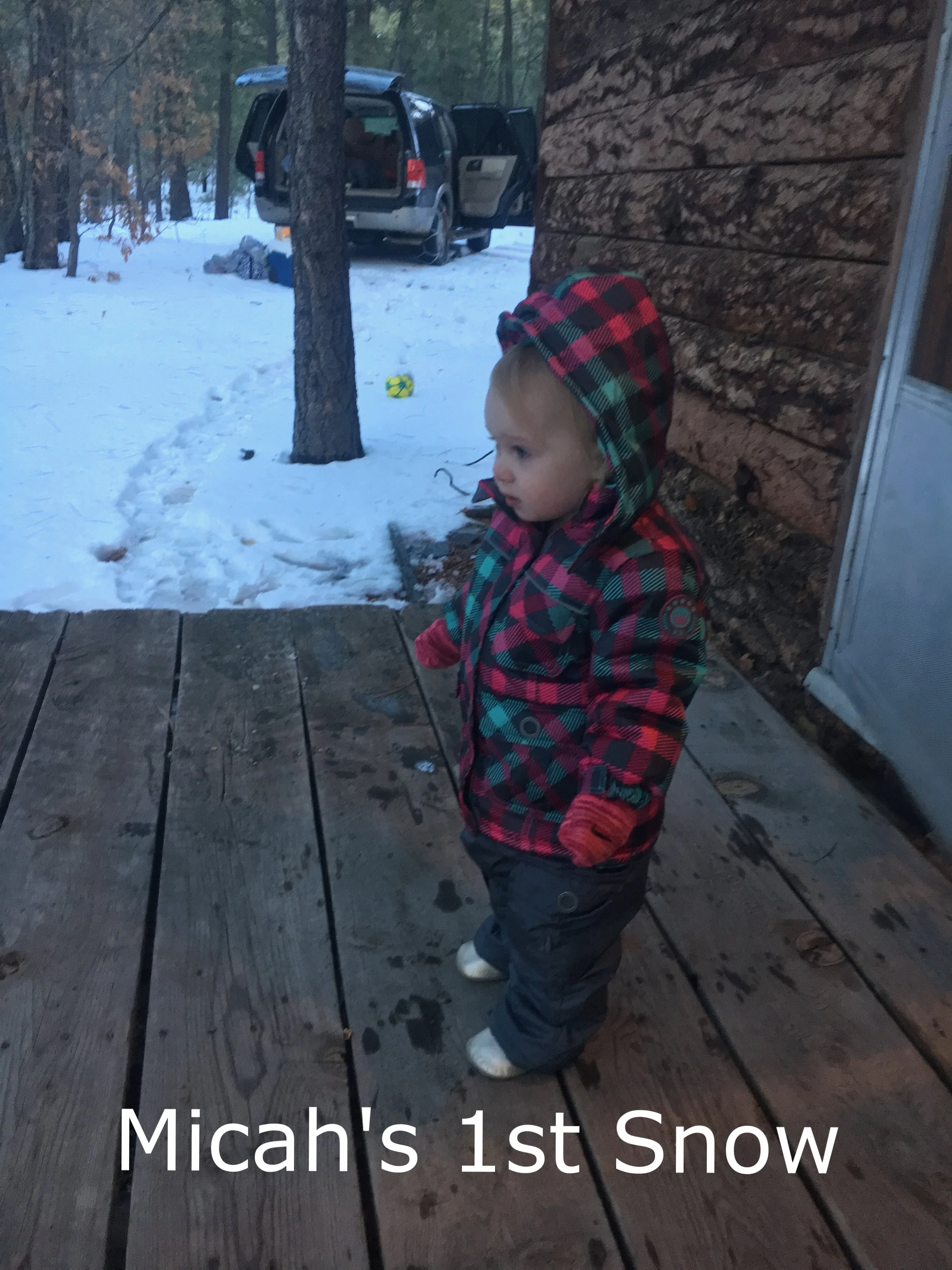 2017-01-06.jpg