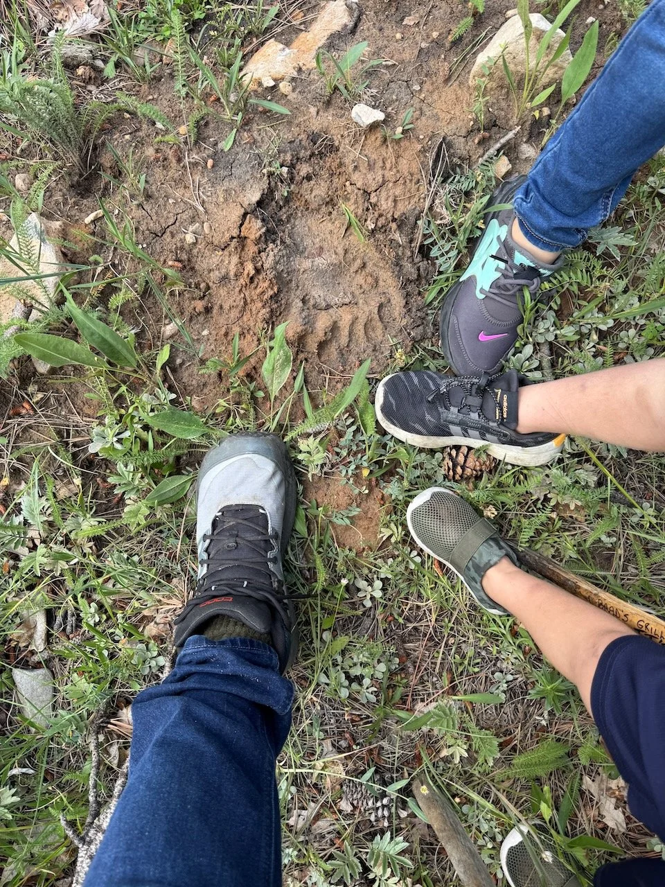 2025 eoy family kids hike - 13.jpeg